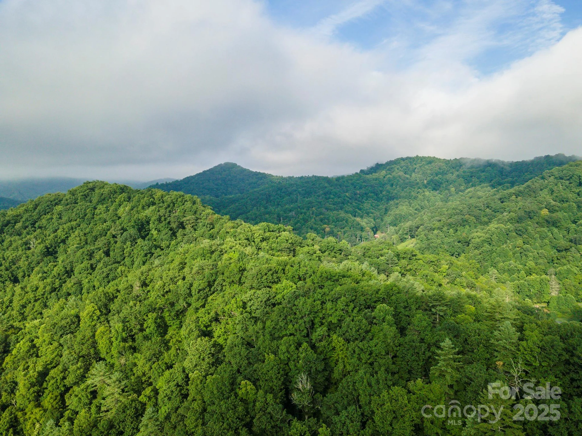 99999 Renfro Road - Photo 27