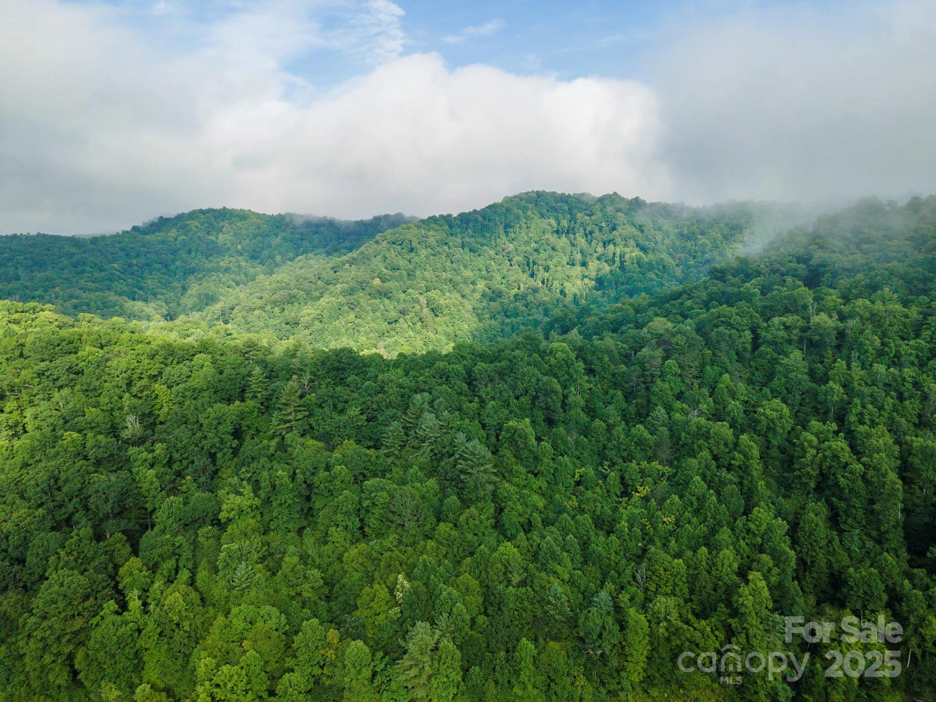 99999 Renfro Road - Photo 28