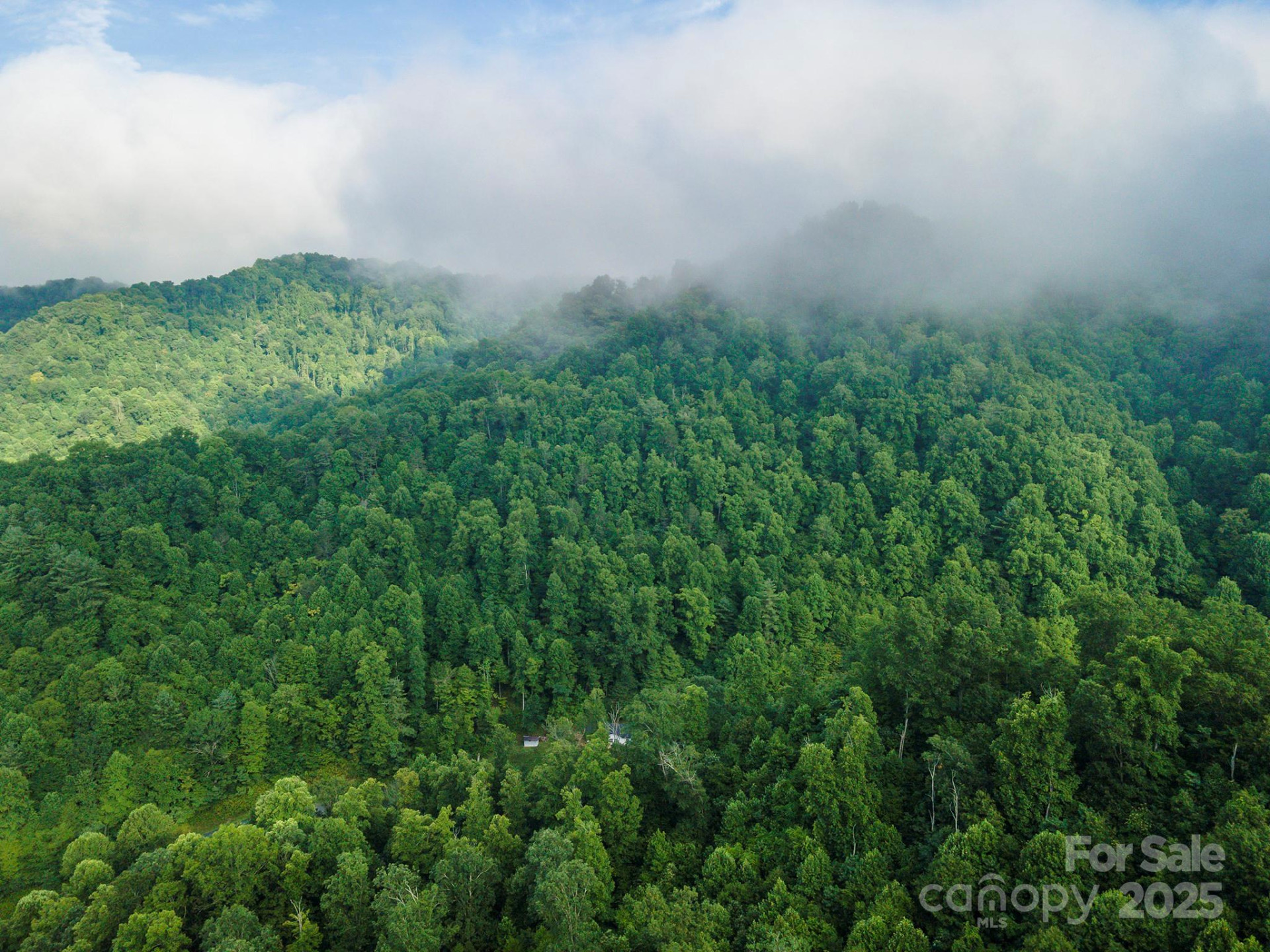 99999 Renfro Road - Photo 29