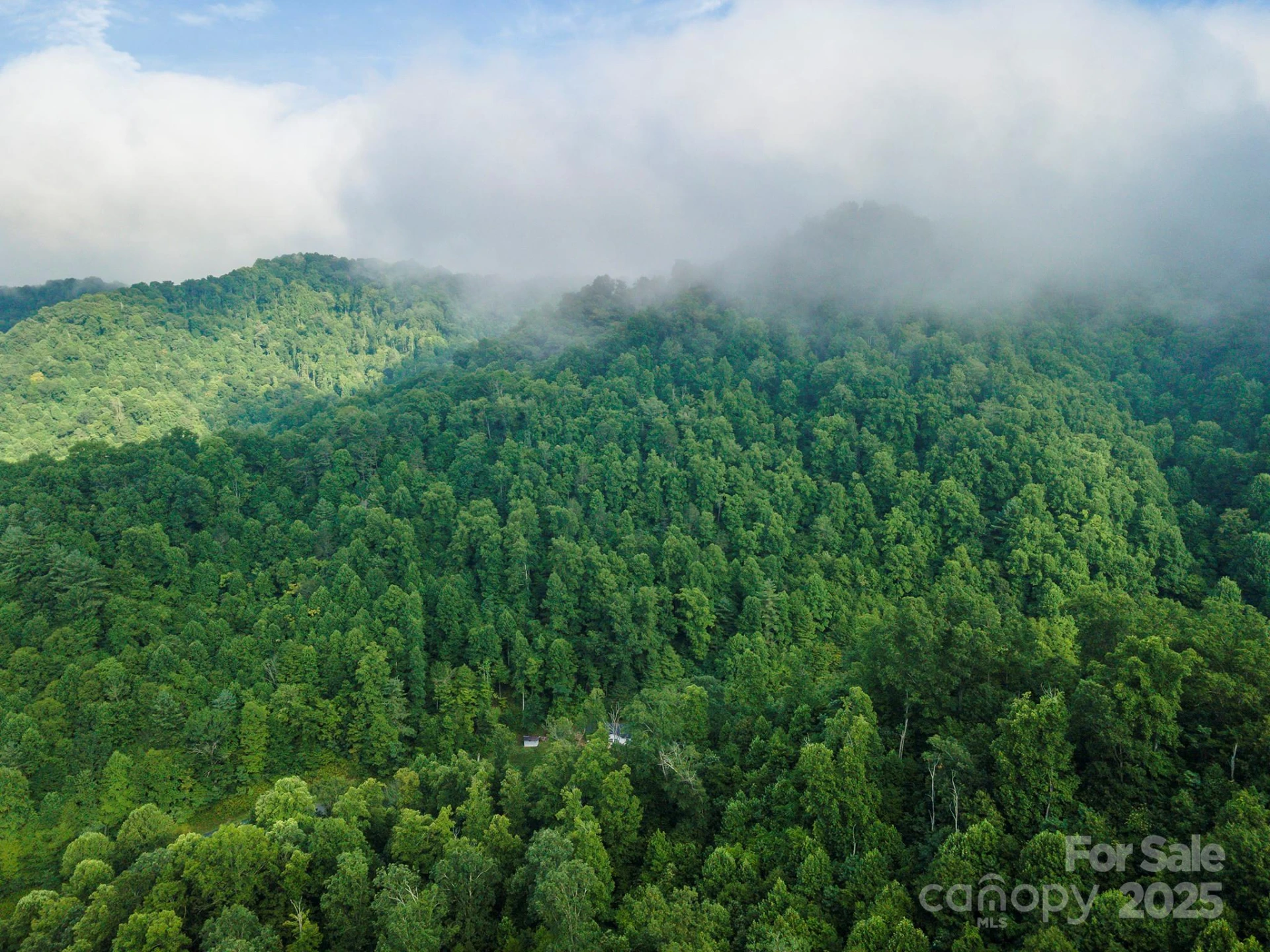 99999 Renfro Road - Photo 29