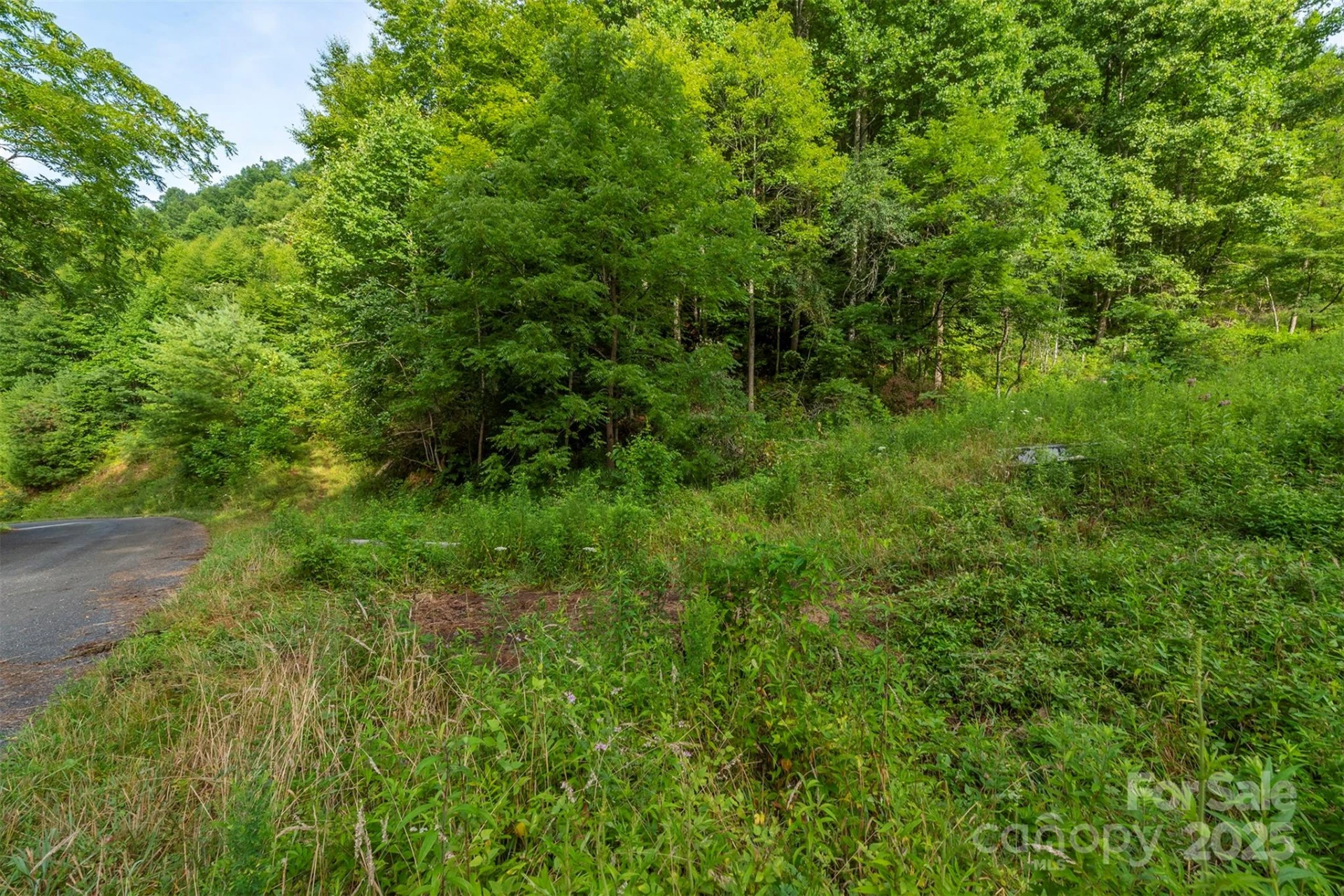 99999 Renfro Road - Photo 6