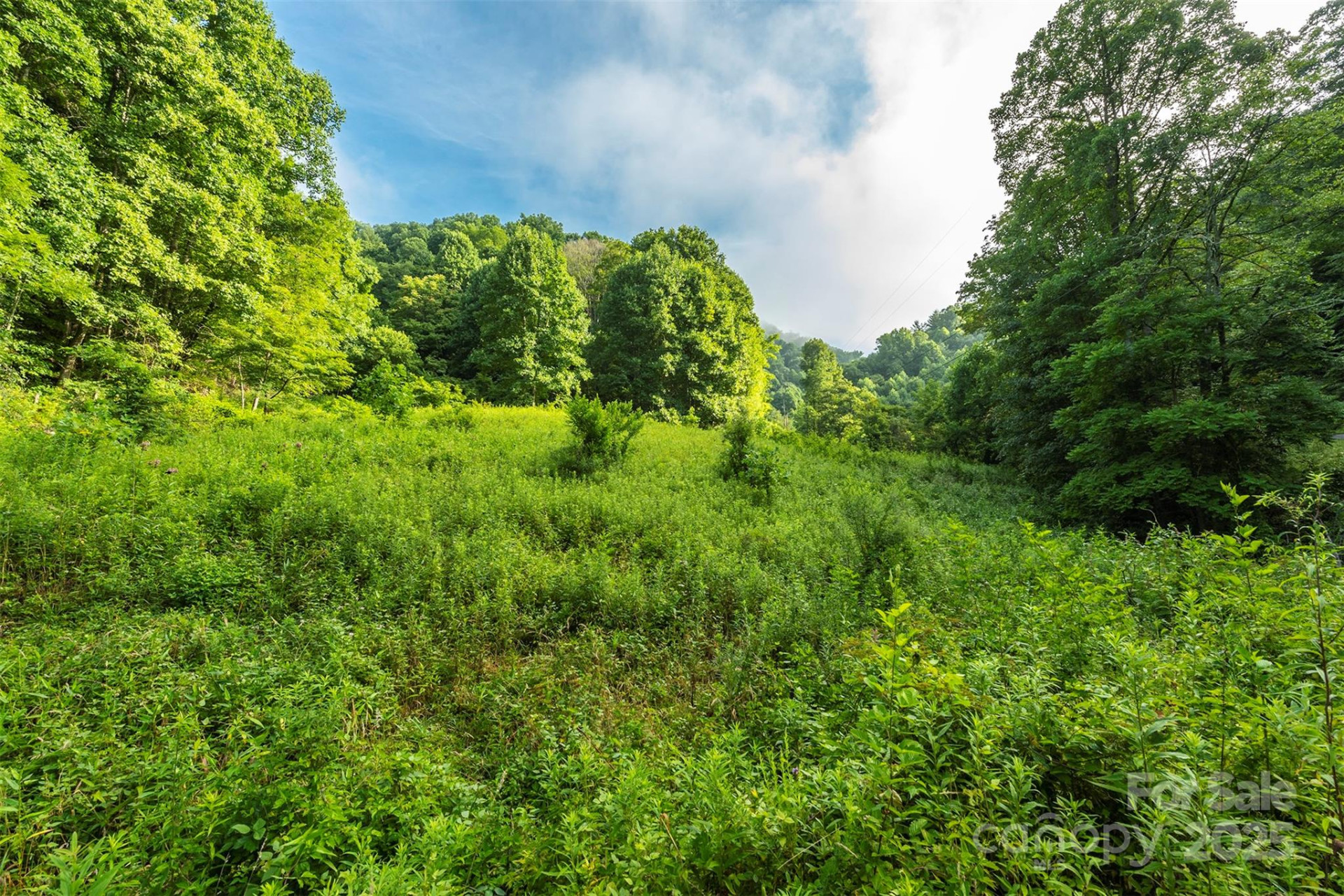 99999 Renfro Road - Photo 7