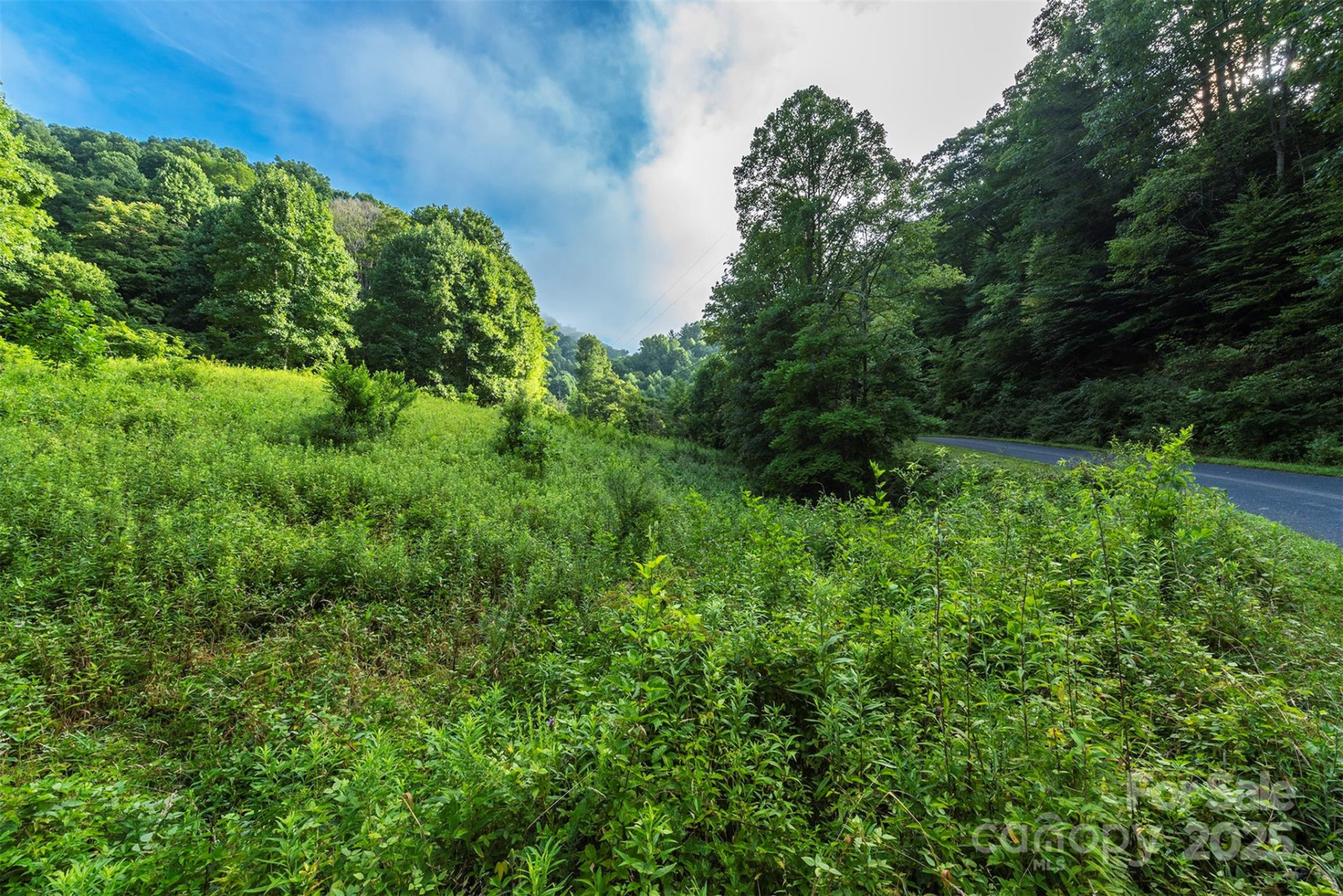 99999 Renfro Road - Photo 8