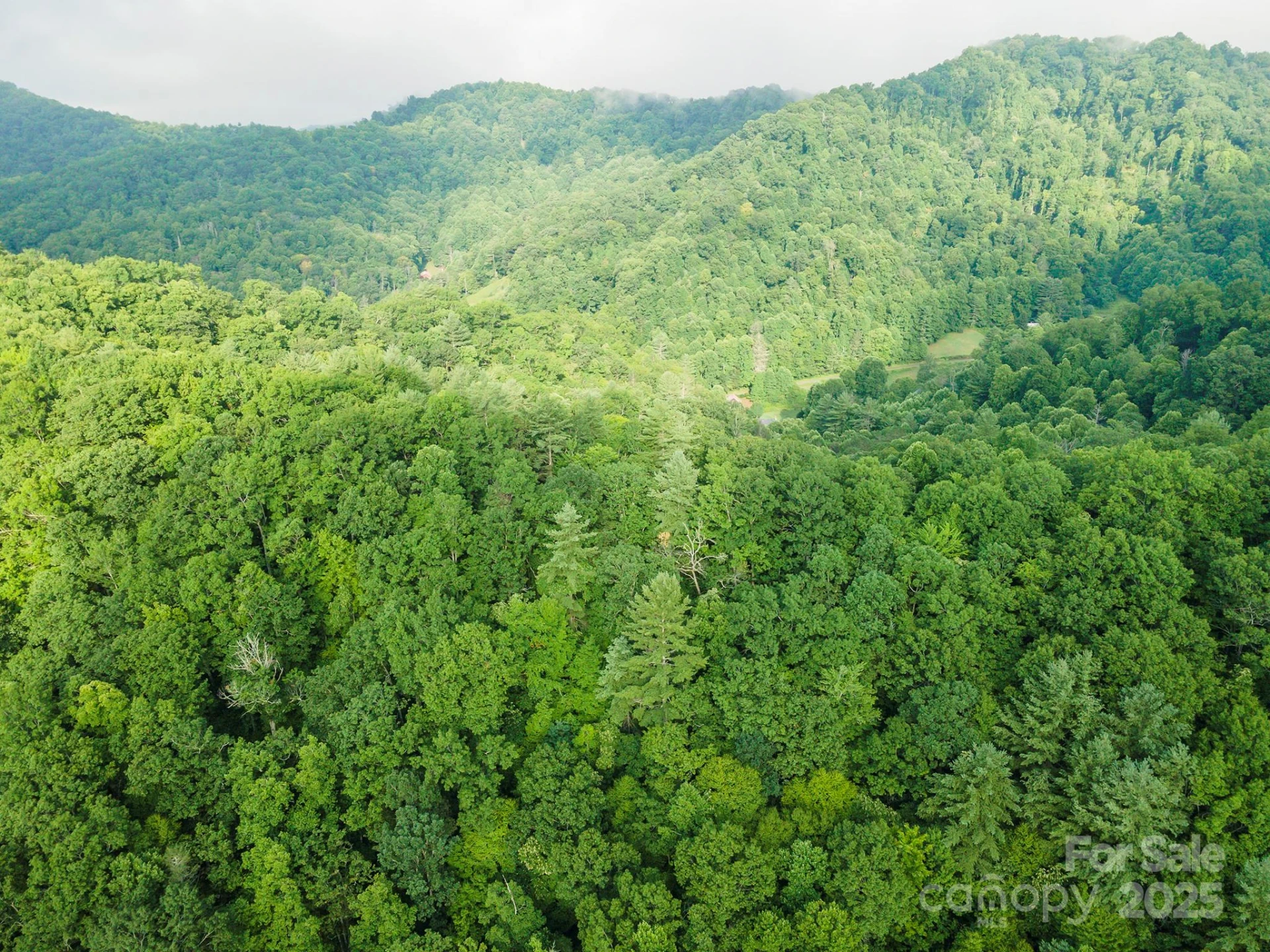 99999 Renfro Road - Photo 9