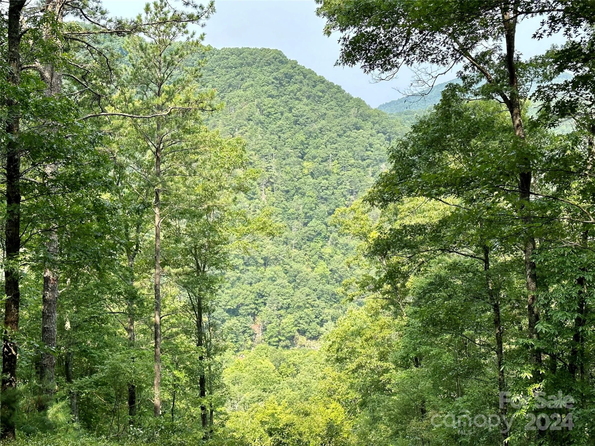 151 Wild Turkey Loop #29 - Photo 2