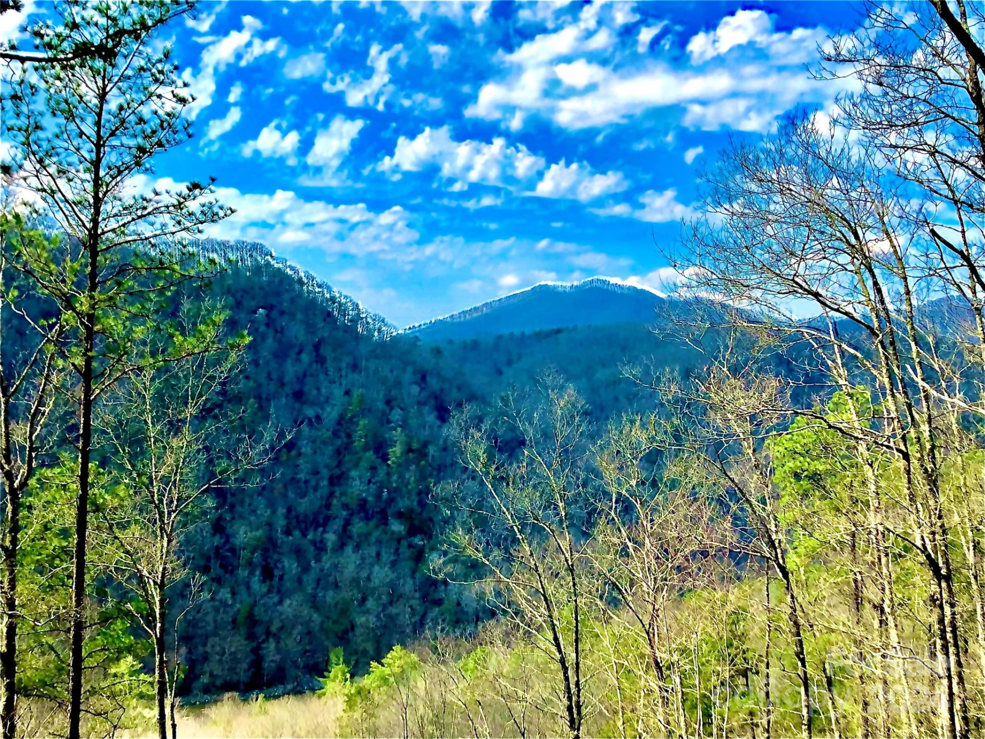 151 Wild Turkey Loop #29 - Photo 3