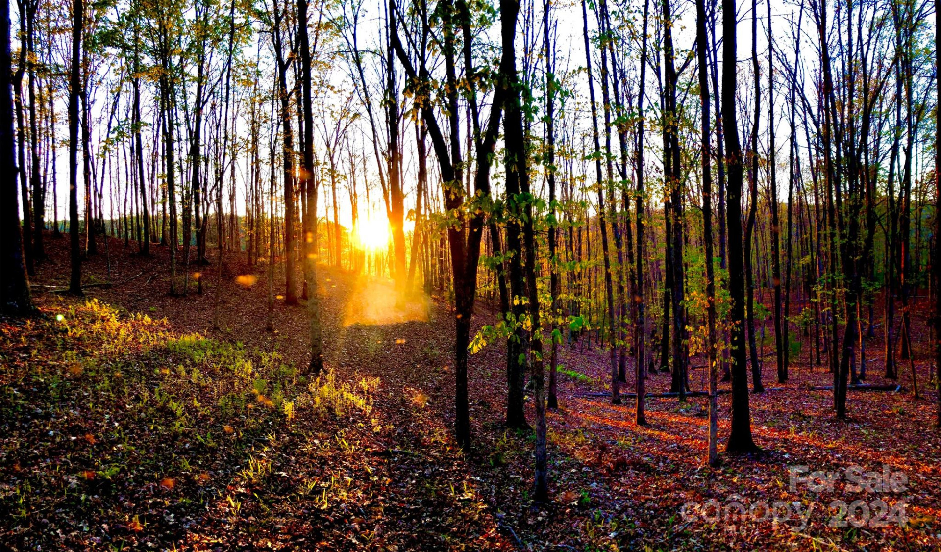 151 Wild Turkey Loop #29 - Photo 4