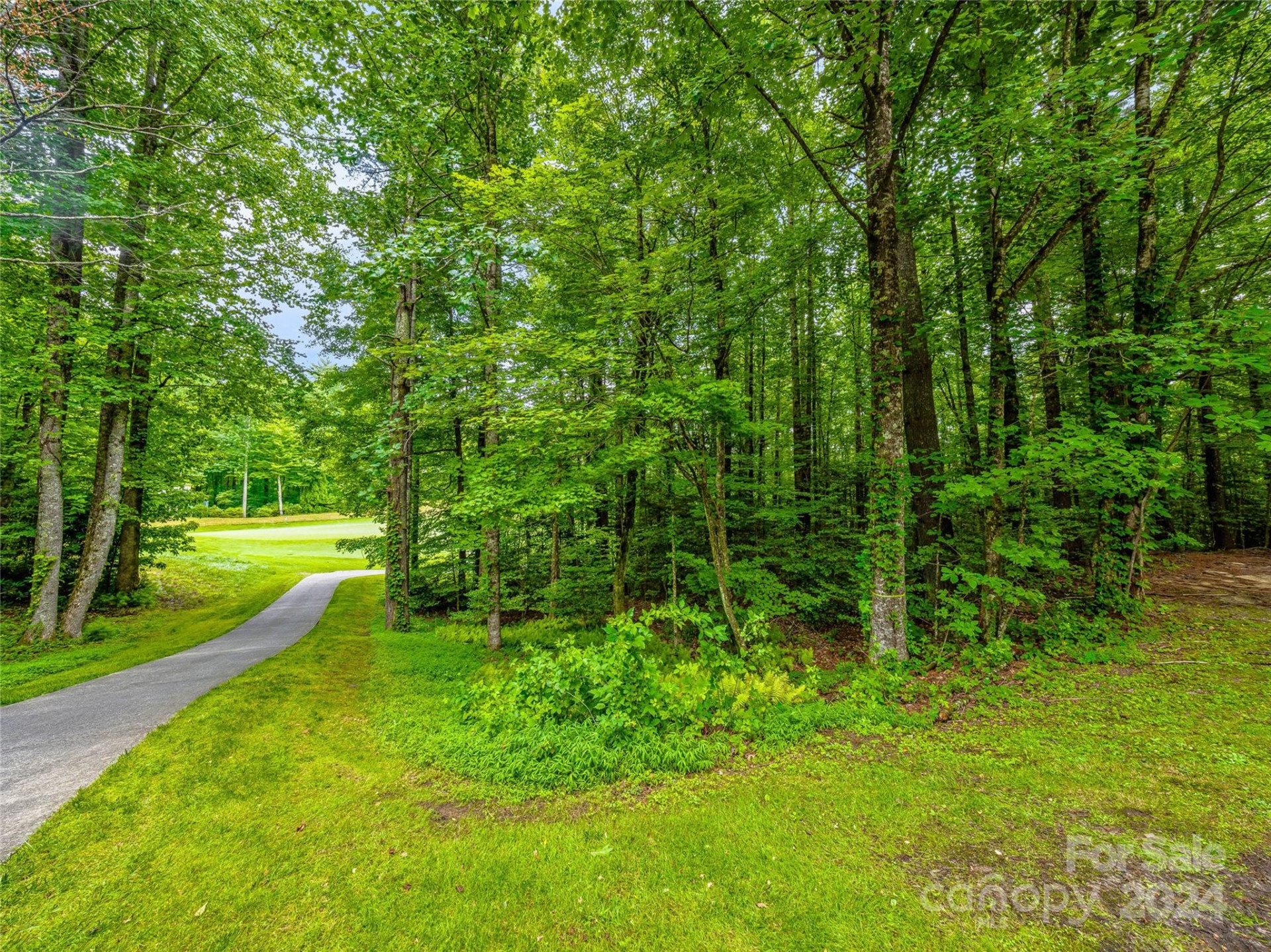N 17 Mills Creek Trace - Photo 5