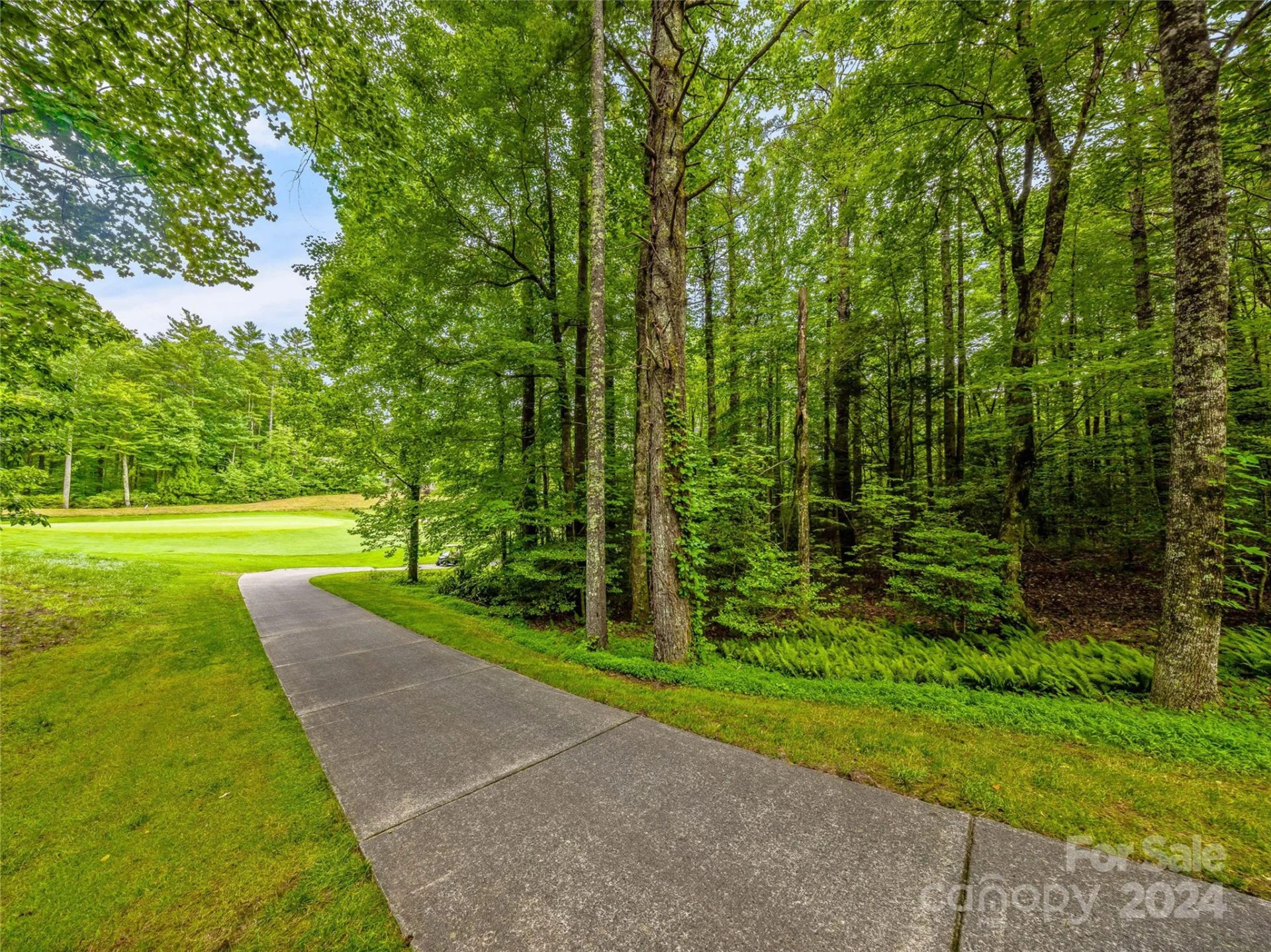 N 17 Mills Creek Trace - Photo 6