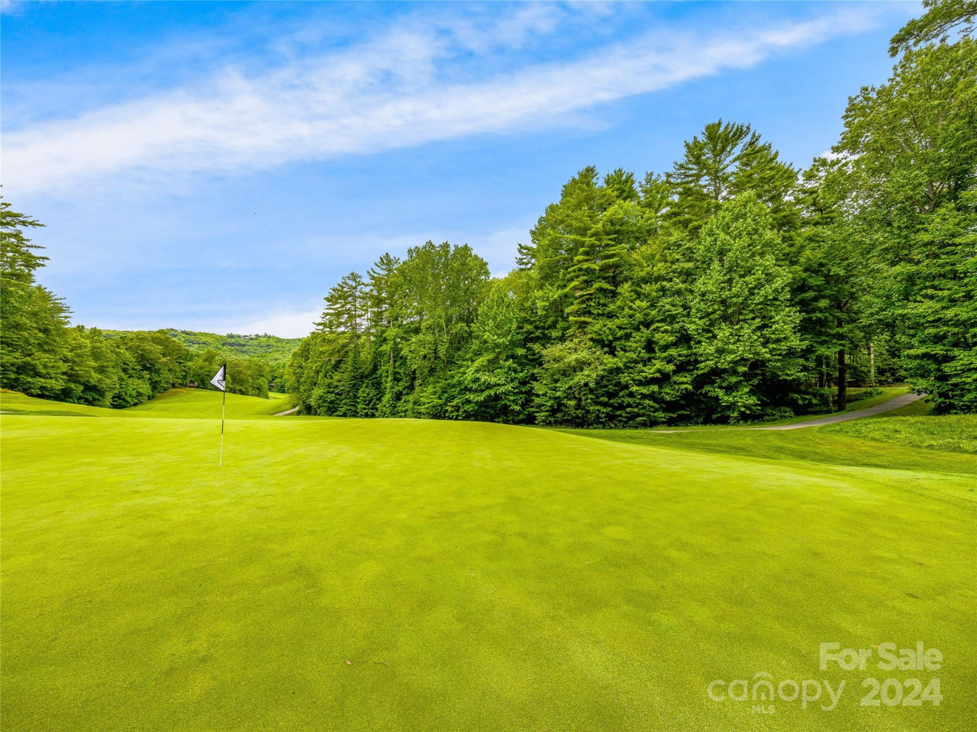 N 17 Mills Creek Trace - Photo 7