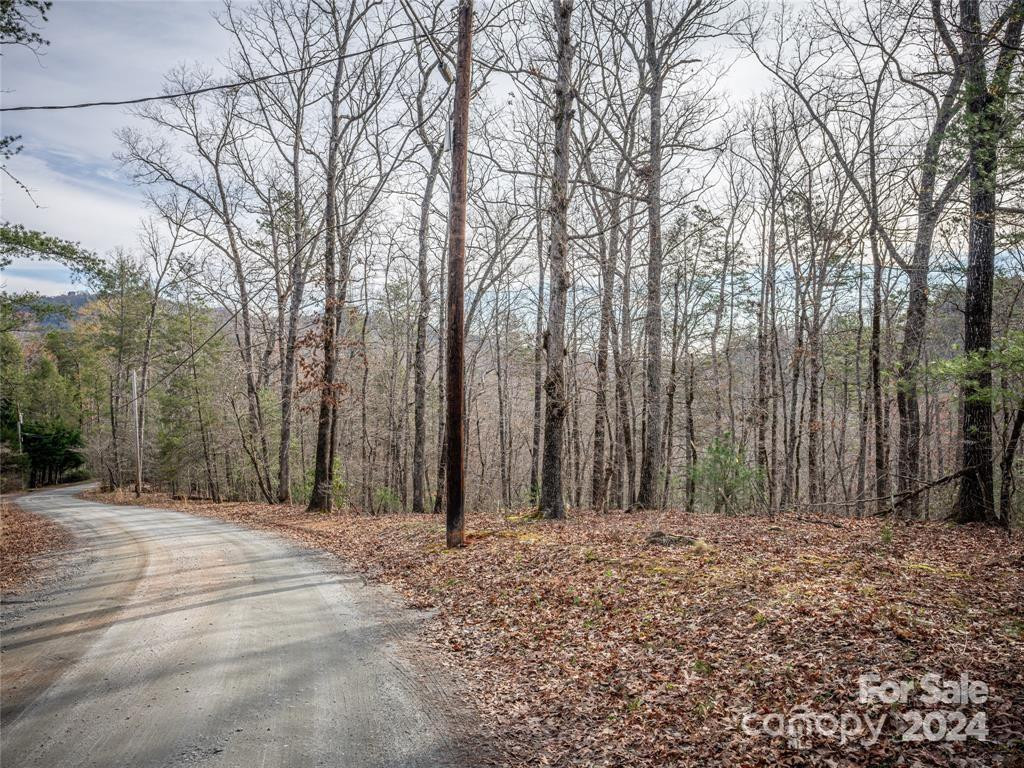 163 Pheasant Street #163 - Photo 2