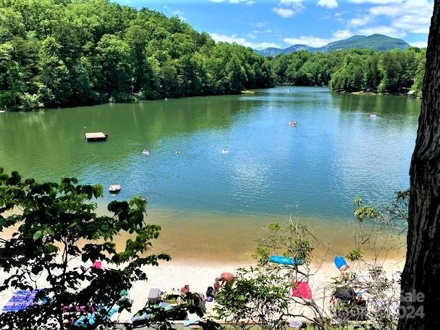 163 Pheasant Street #163 - Photo 12