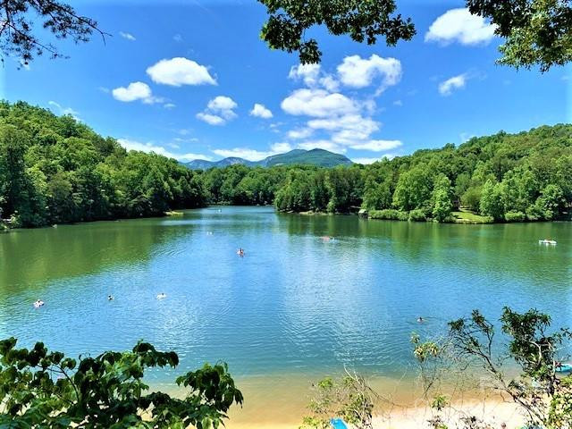 163 Pheasant Street #163 - Photo 14