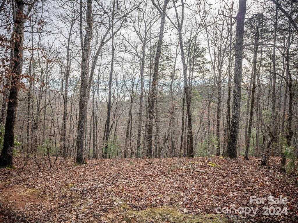 163 Pheasant Street #163 - Photo 4