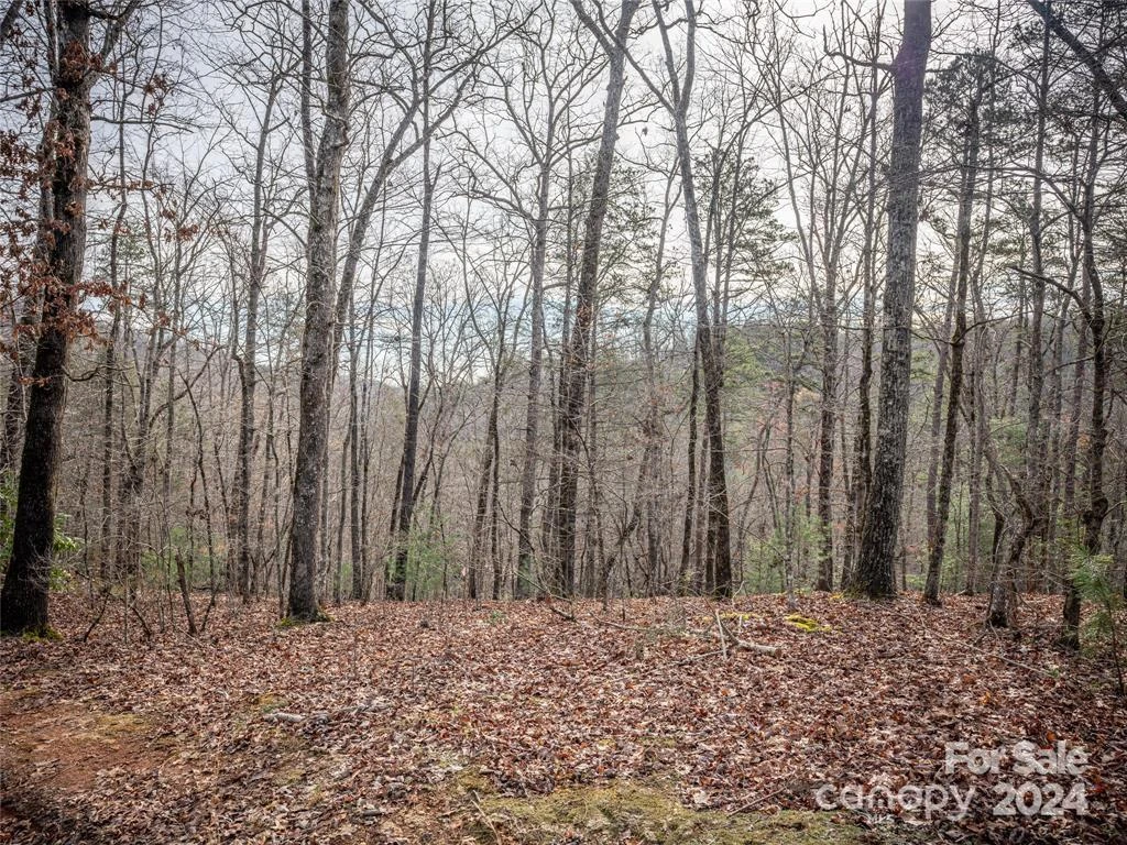 163 Pheasant Street #163 - Photo 4