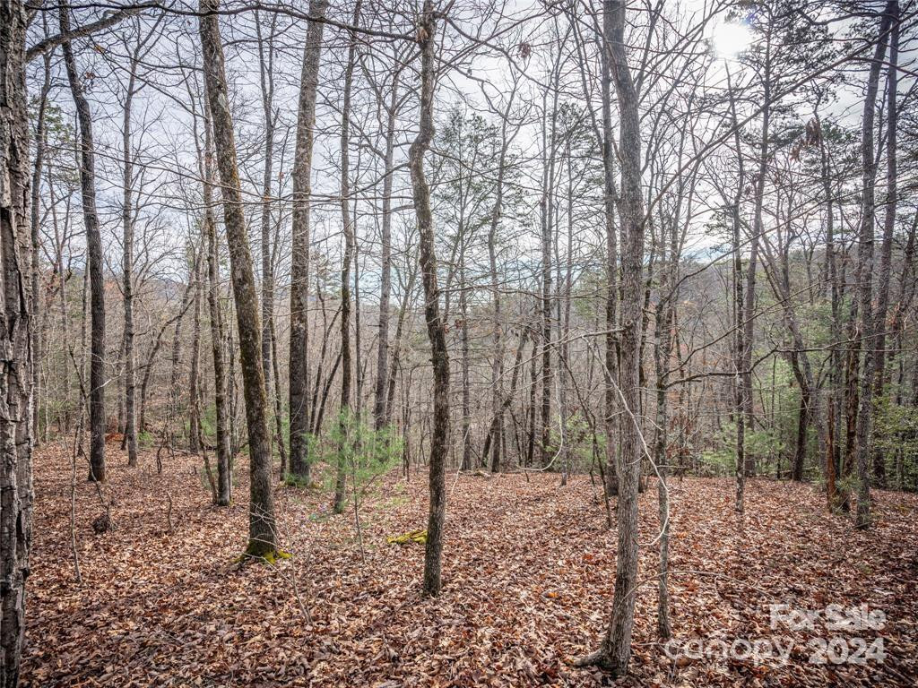 163 Pheasant Street #163 - Photo 5