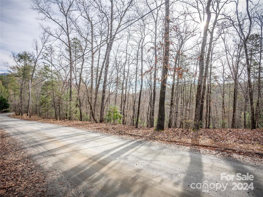 163 Pheasant Street #163 - Photo 6