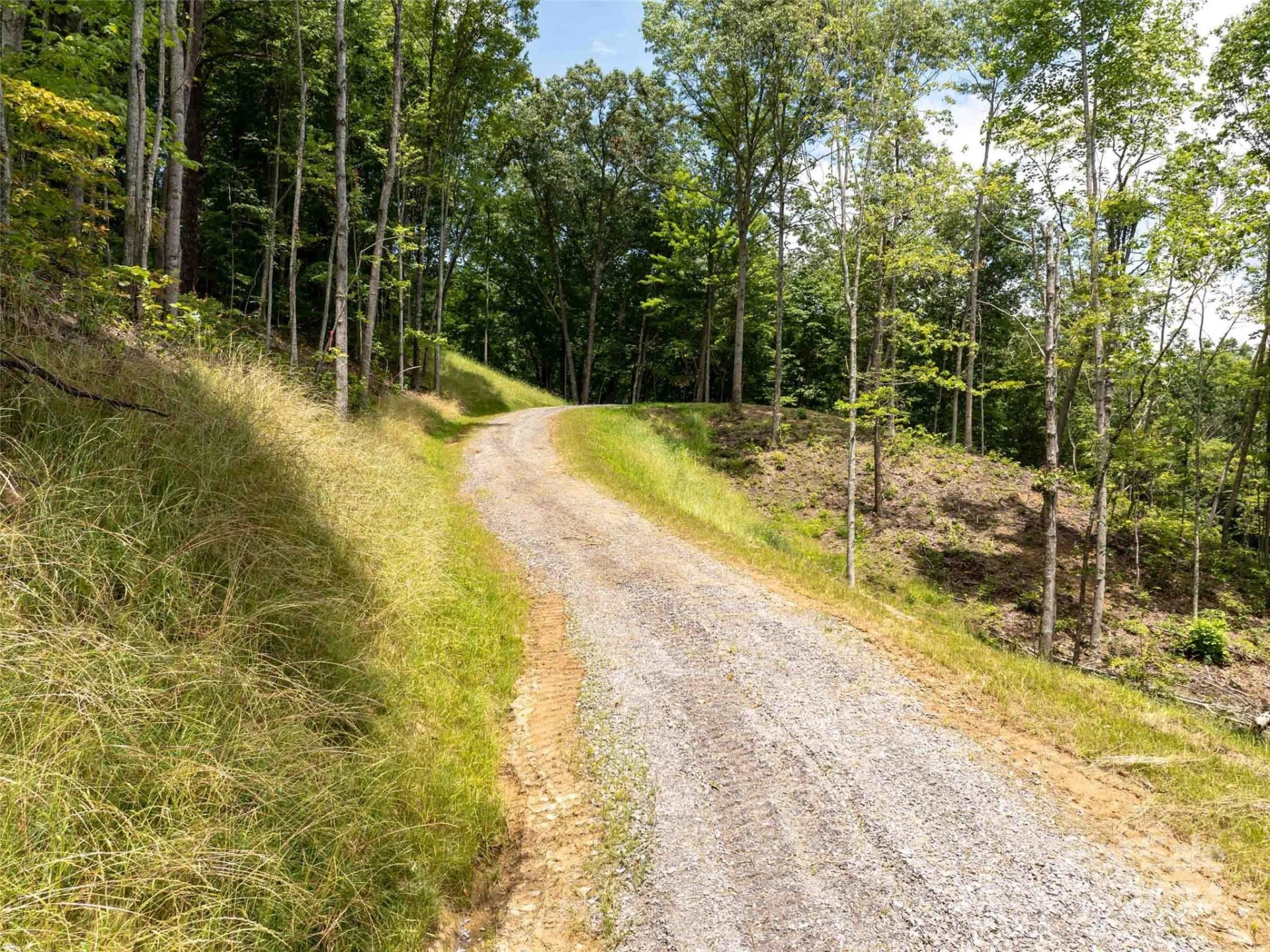 #32 Tapestry Trail - Photo 2