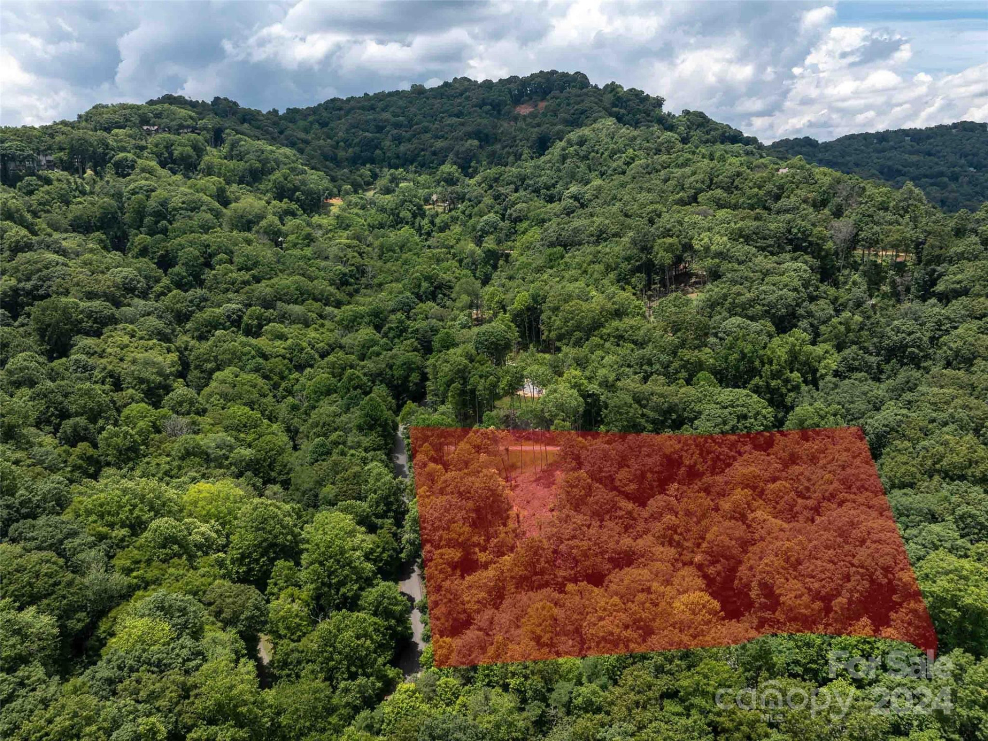 #32 Tapestry Trail - Photo 11