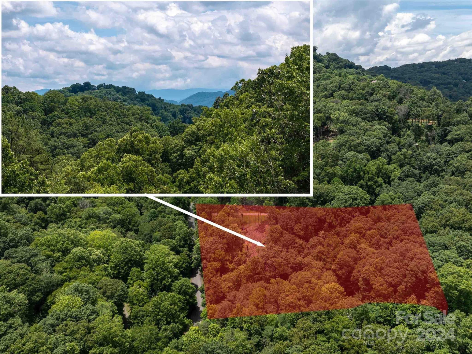 #32 Tapestry Trail - Photo 12