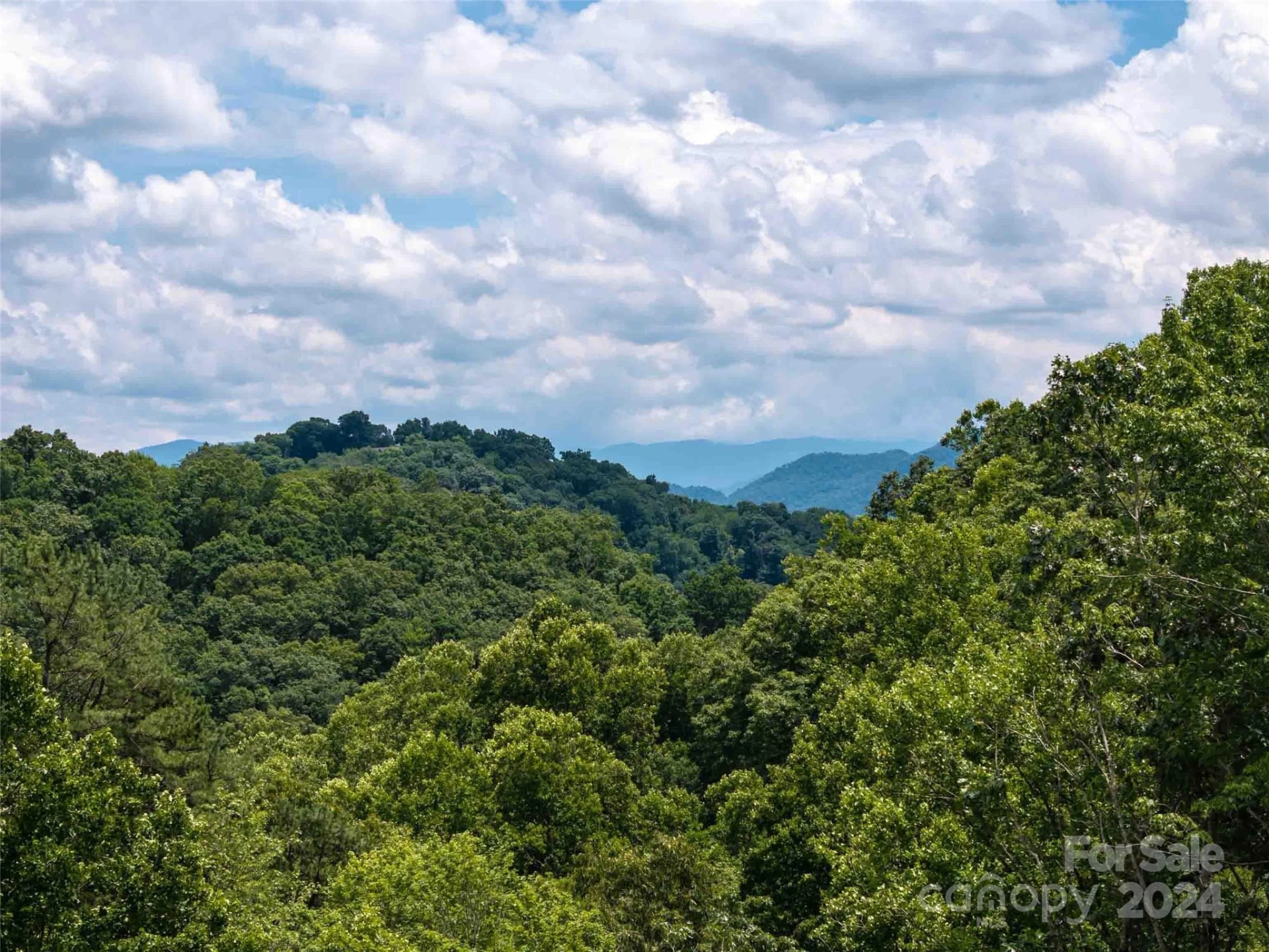 #32 Tapestry Trail - Photo 5