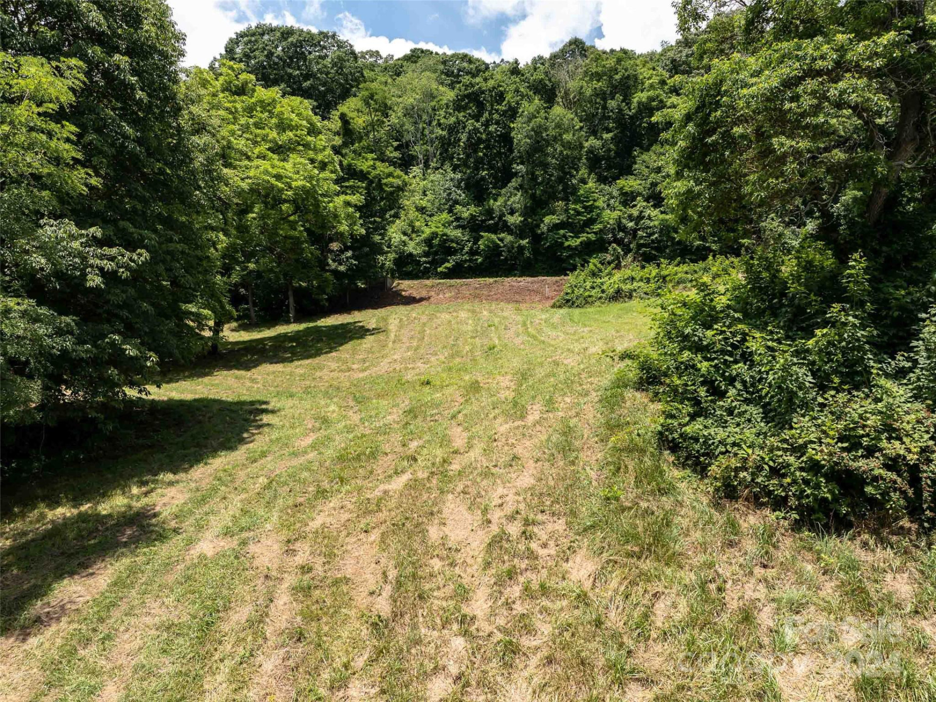 #39 Sleepy Hollow Drive - Photo 6