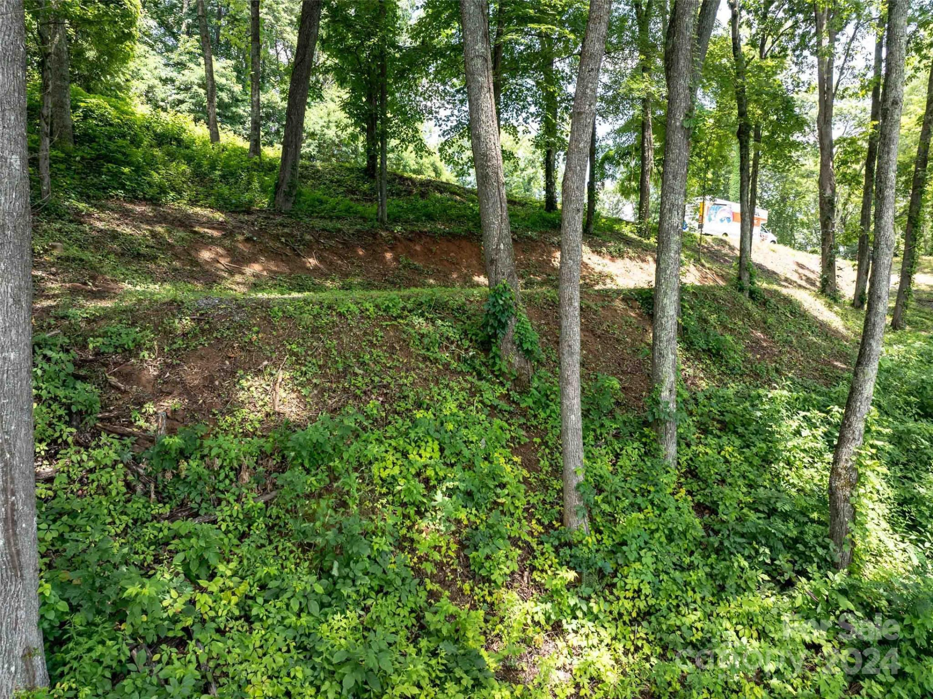 #54 Sleepy Hollow Drive - Photo 11