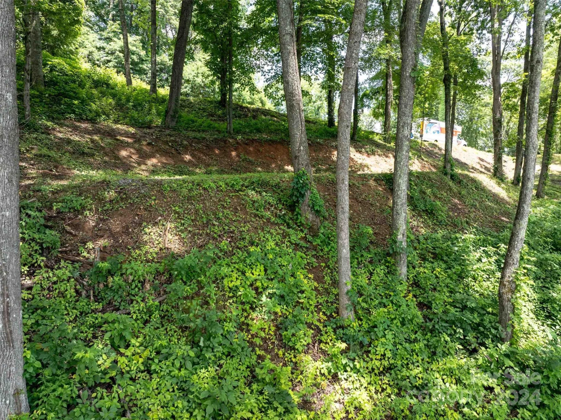 #54 Sleepy Hollow Drive - Photo 11