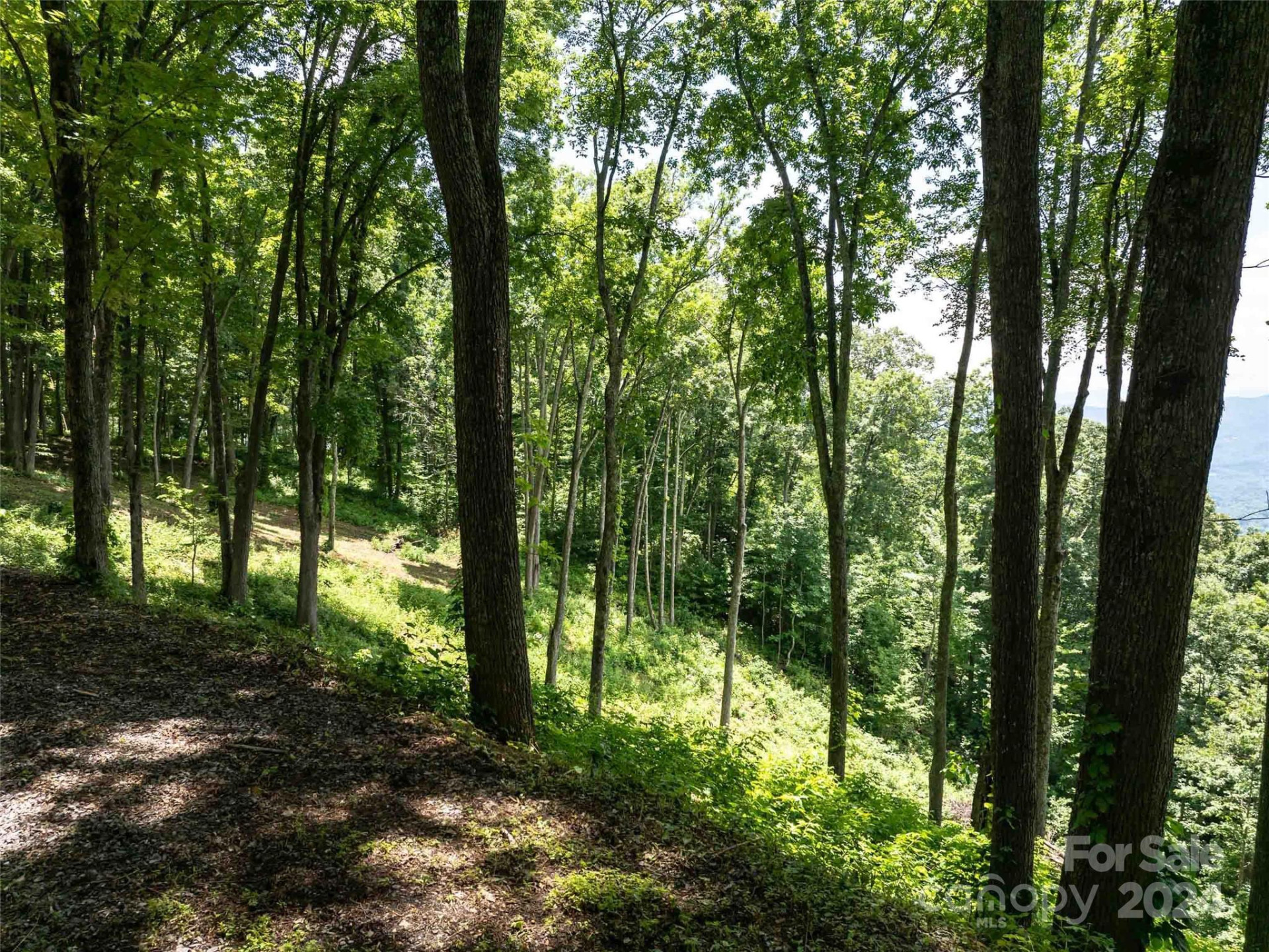 #54 Sleepy Hollow Drive - Photo 5