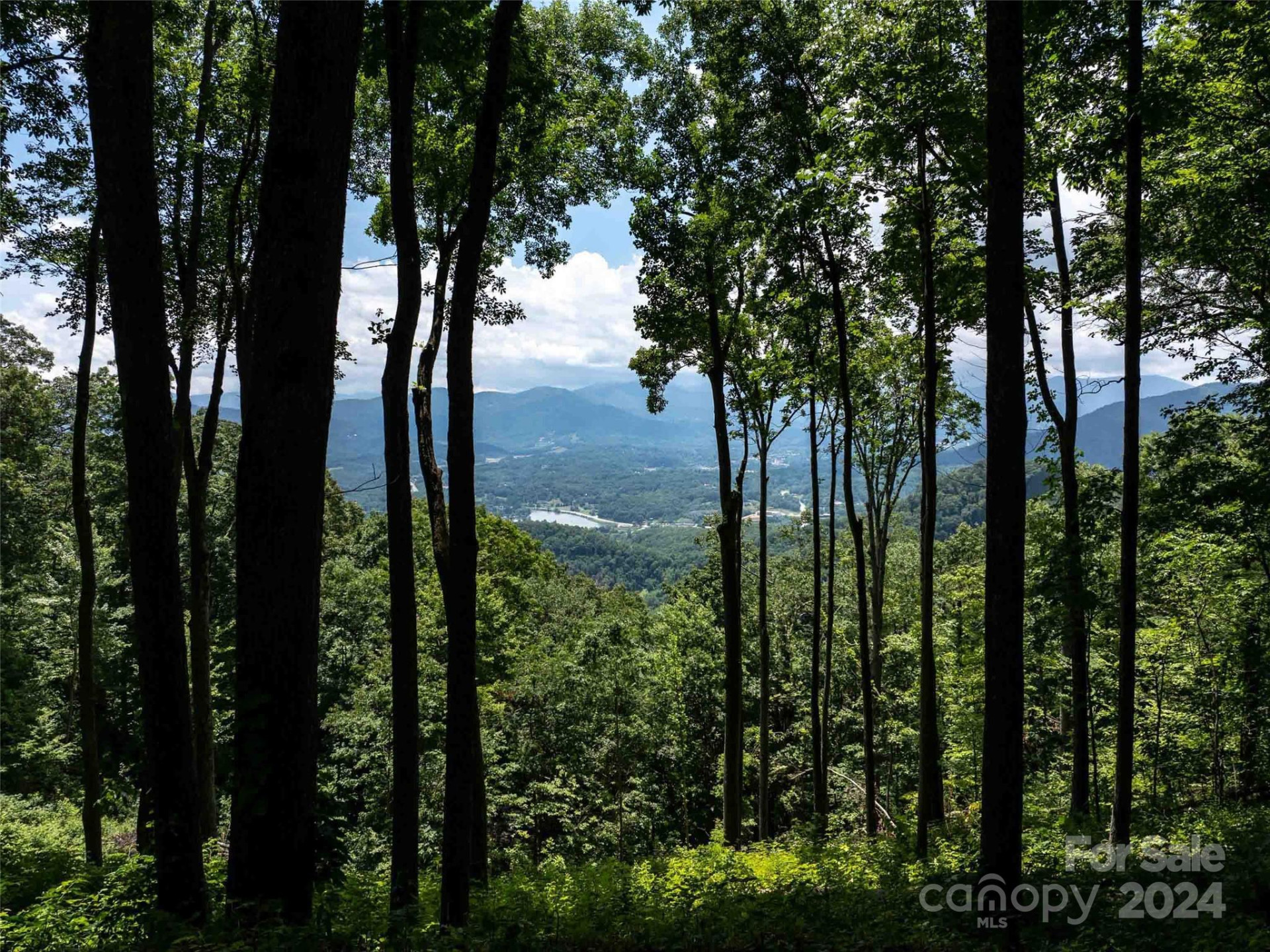 #54 Sleepy Hollow Drive - Photo 6