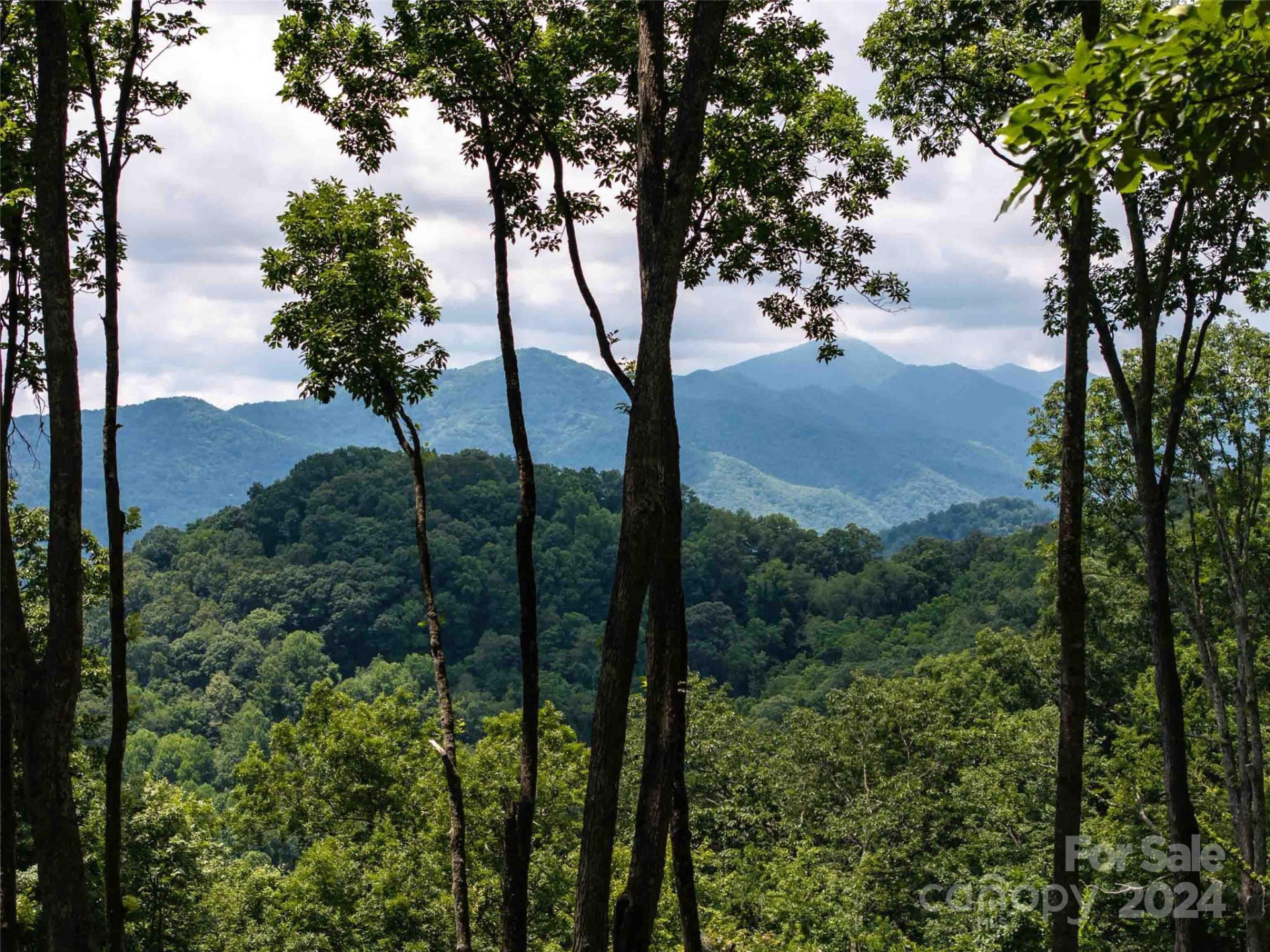 #54 Sleepy Hollow Drive - Photo 8