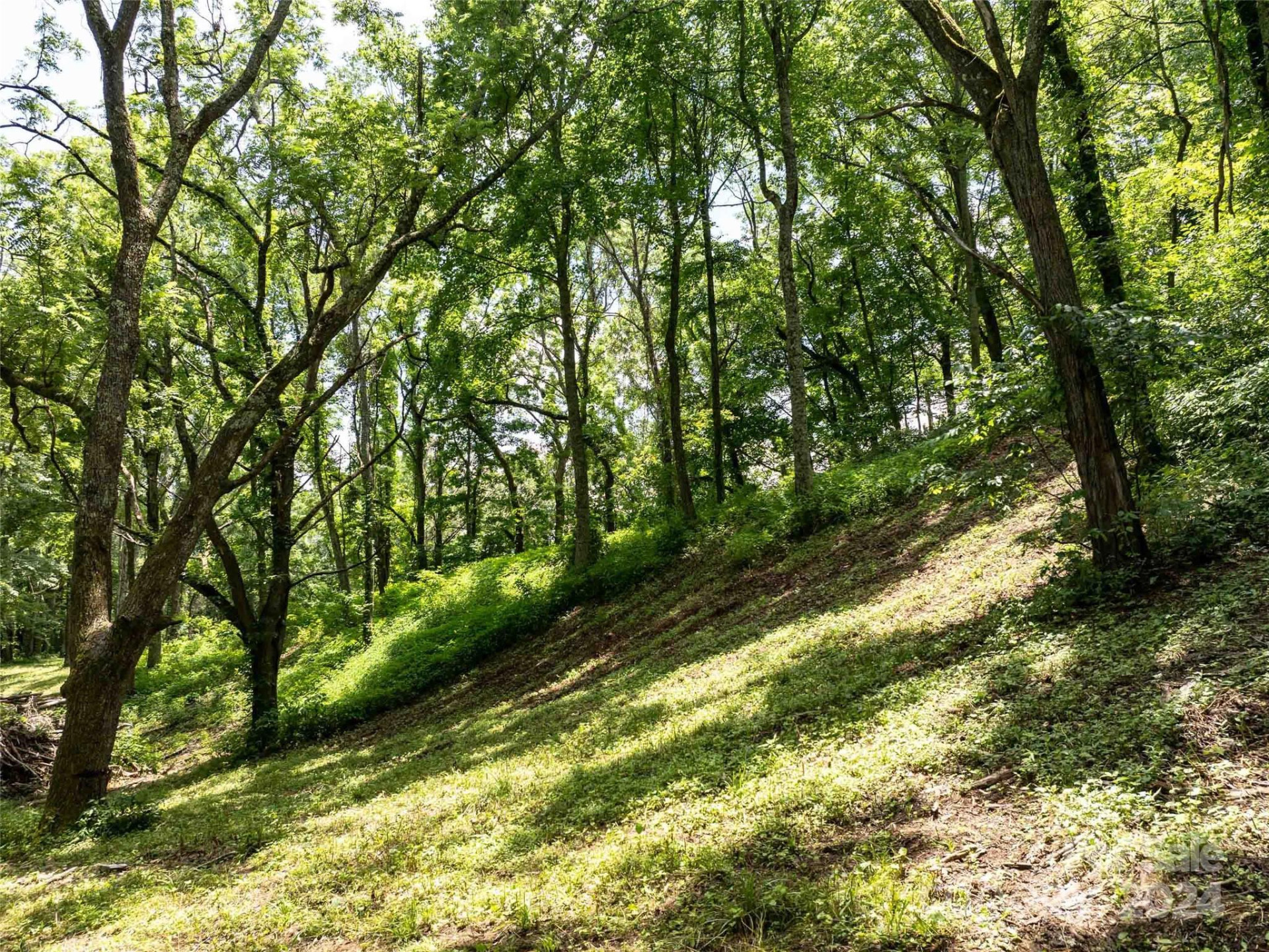 00 Hardy Branch Trail - Photo 2