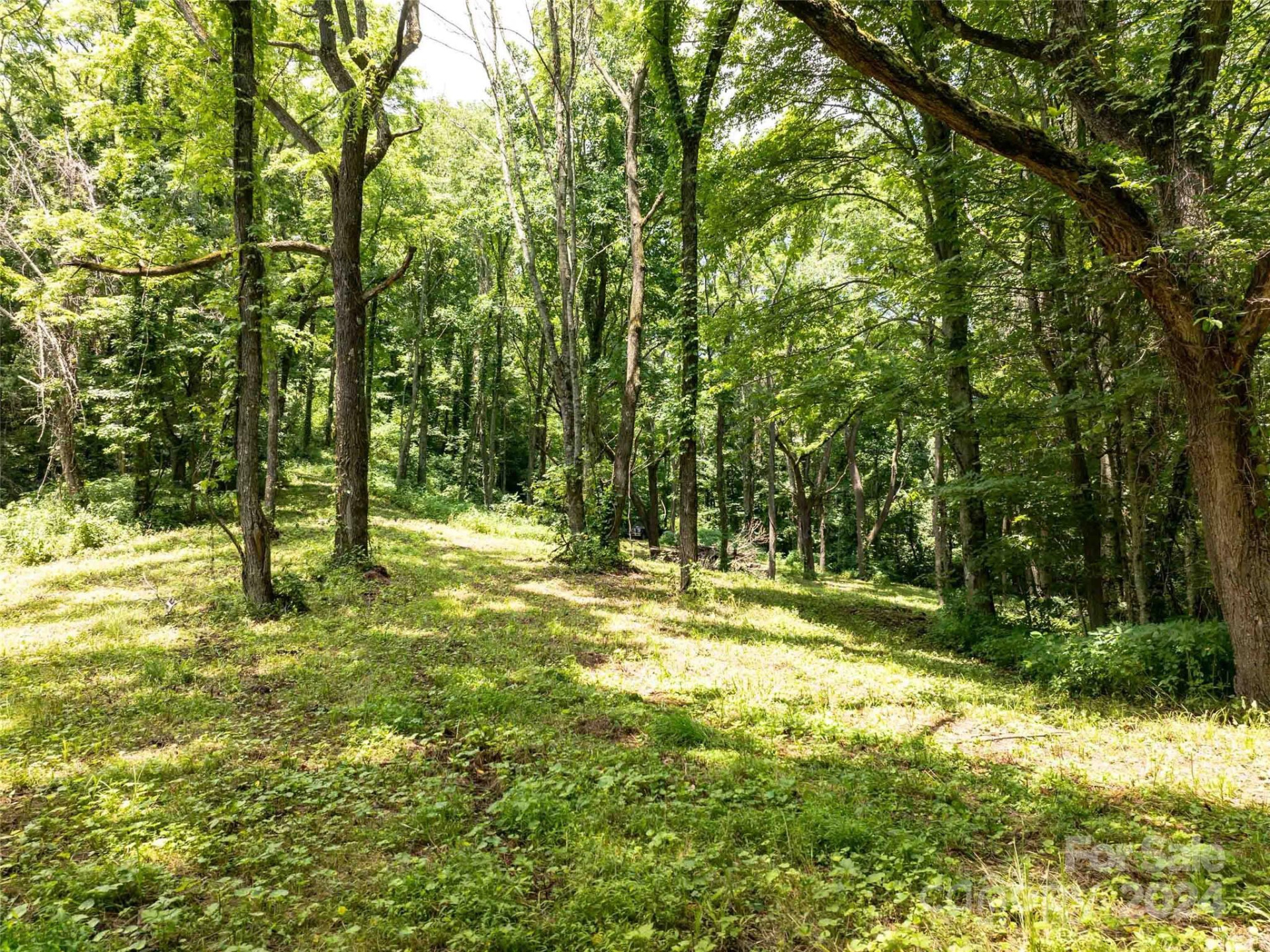 00 Hardy Branch Trail - Photo 12