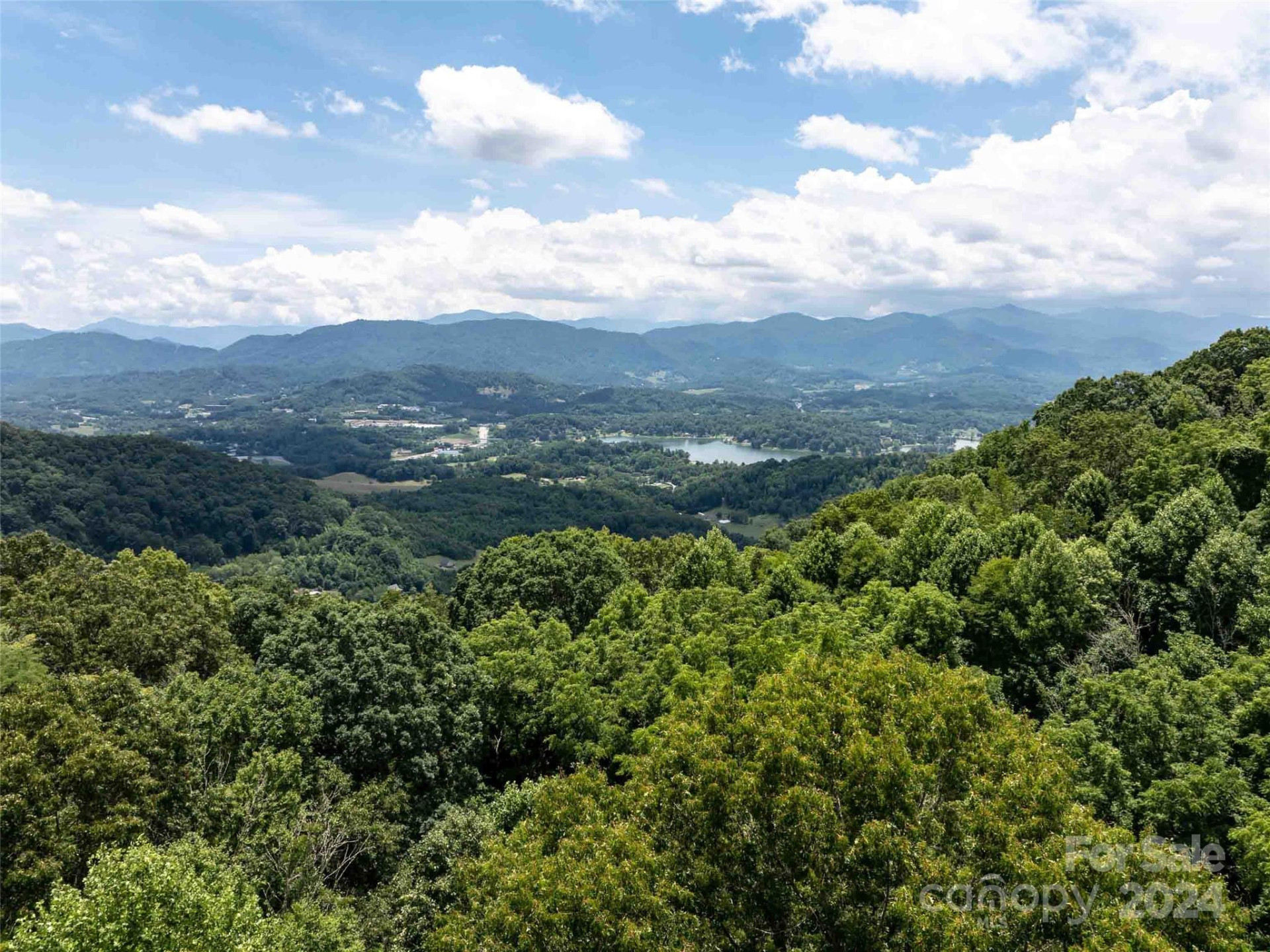 00 Hardy Branch Trail - Photo 13