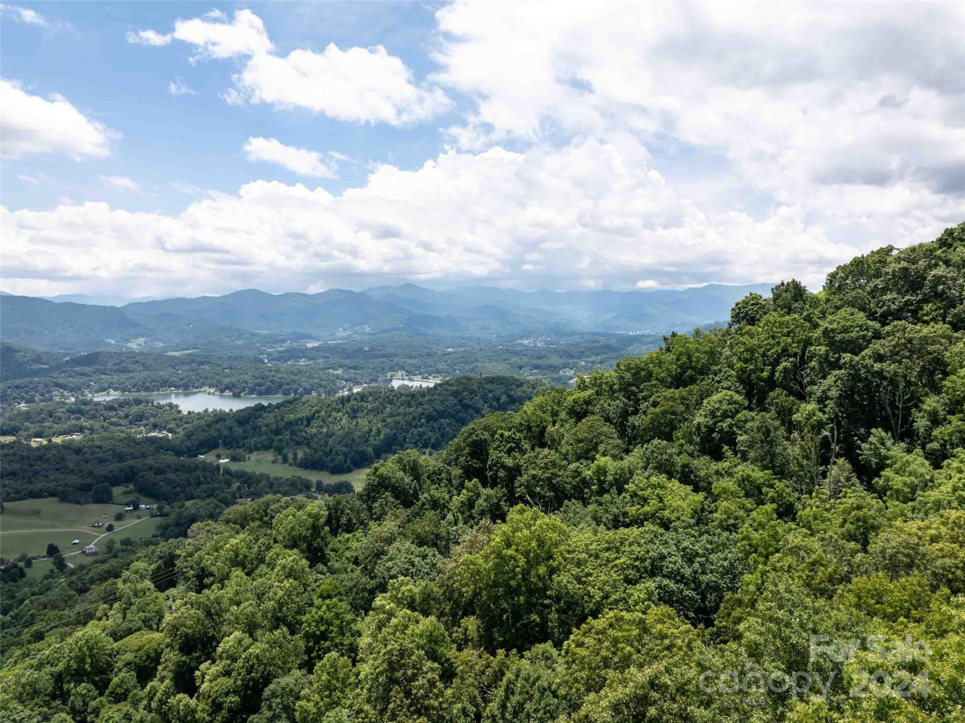 00 Hardy Branch Trail - Photo 16