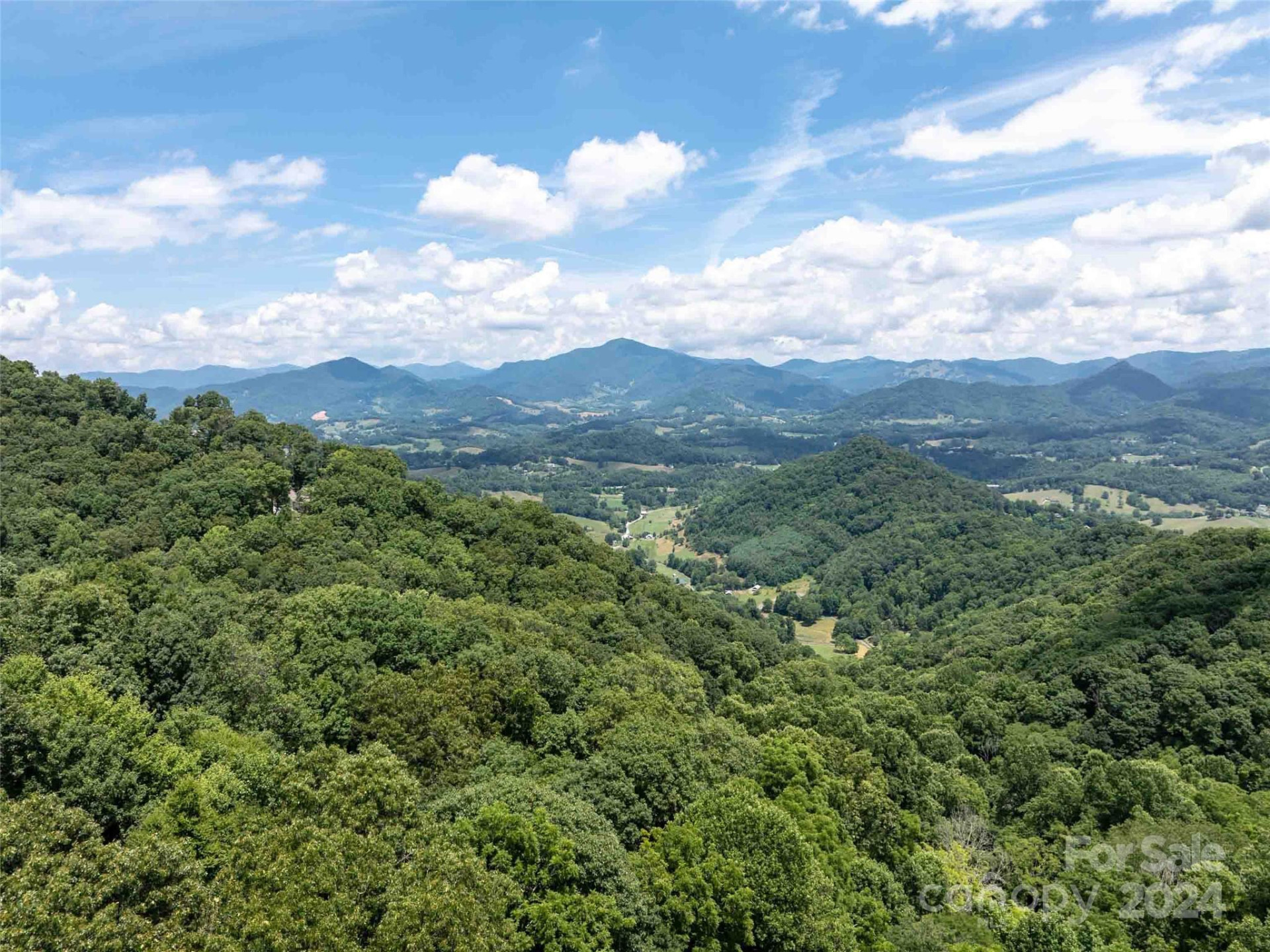 00 Hardy Branch Trail - Photo 19