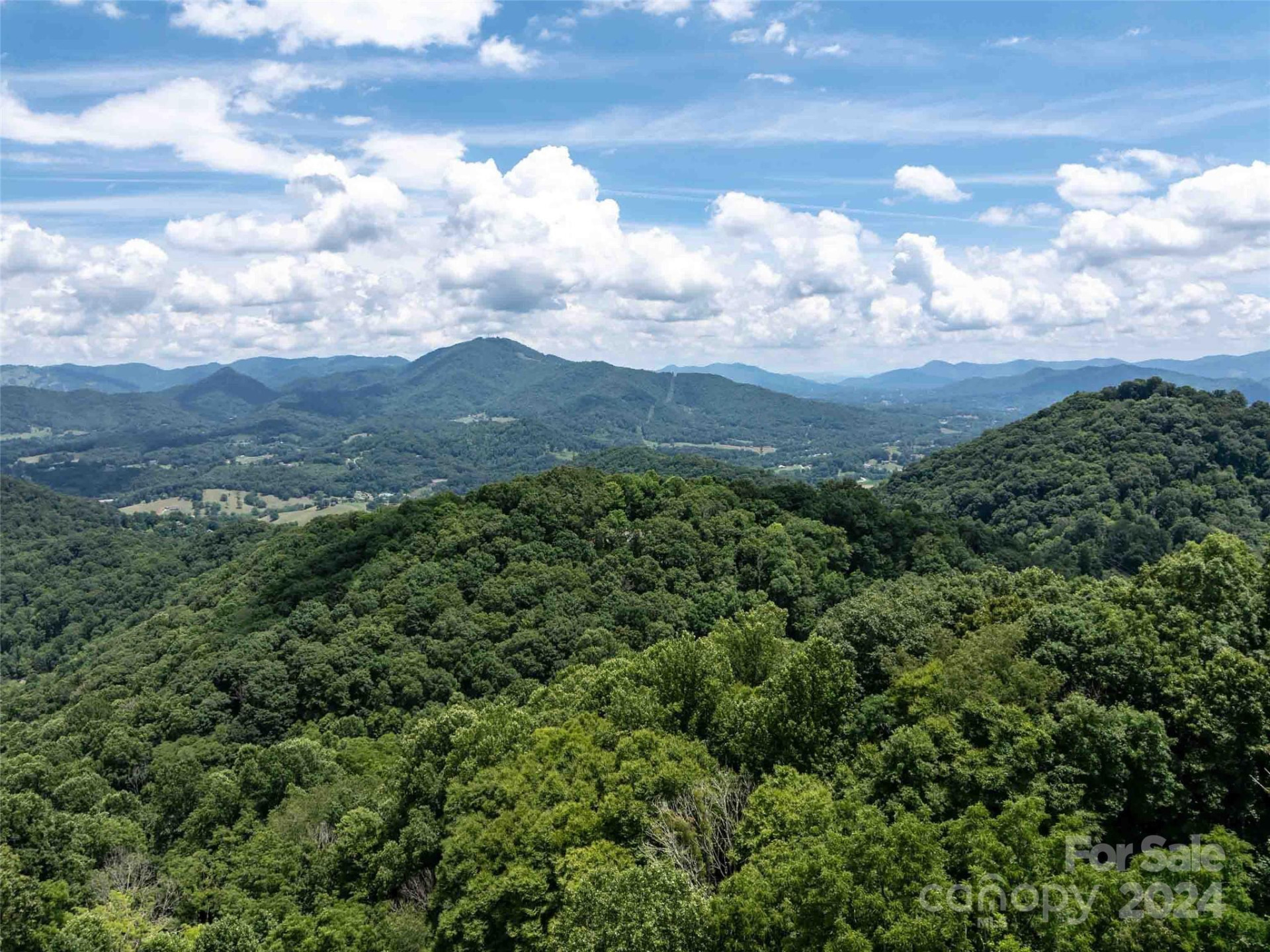 00 Hardy Branch Trail - Photo 21