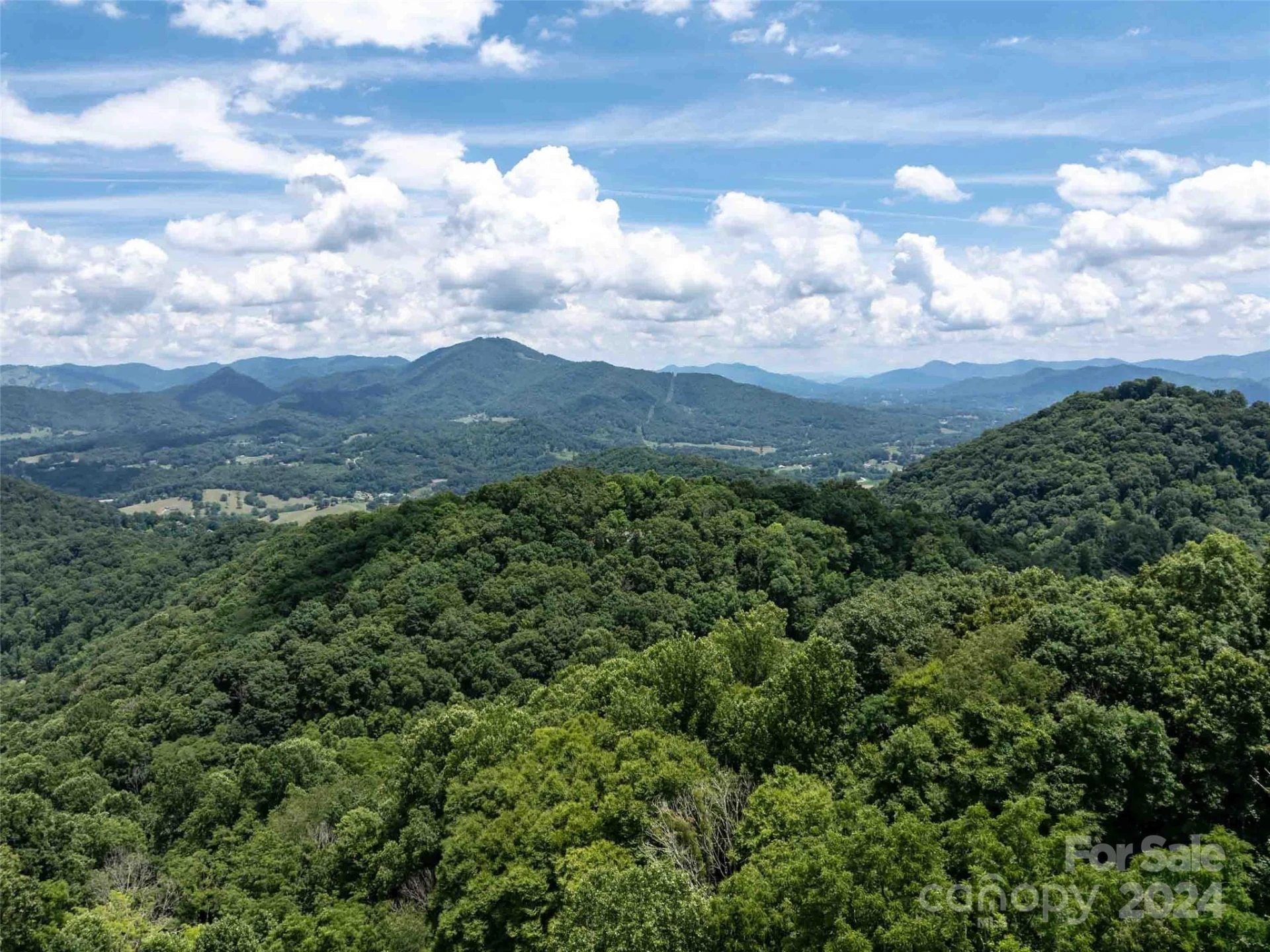 00 Hardy Branch Trail - Photo 21