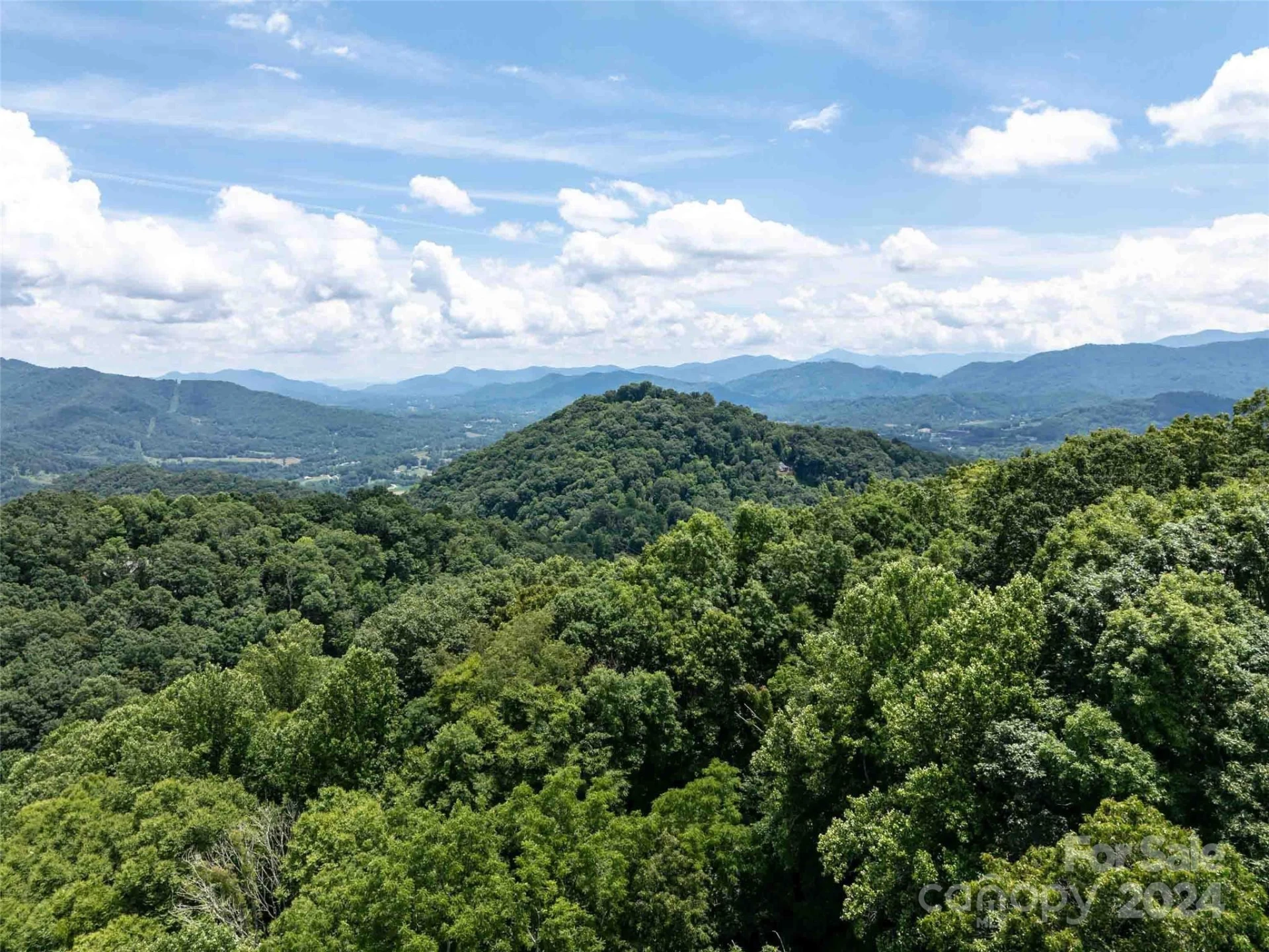 00 Hardy Branch Trail - Photo 22