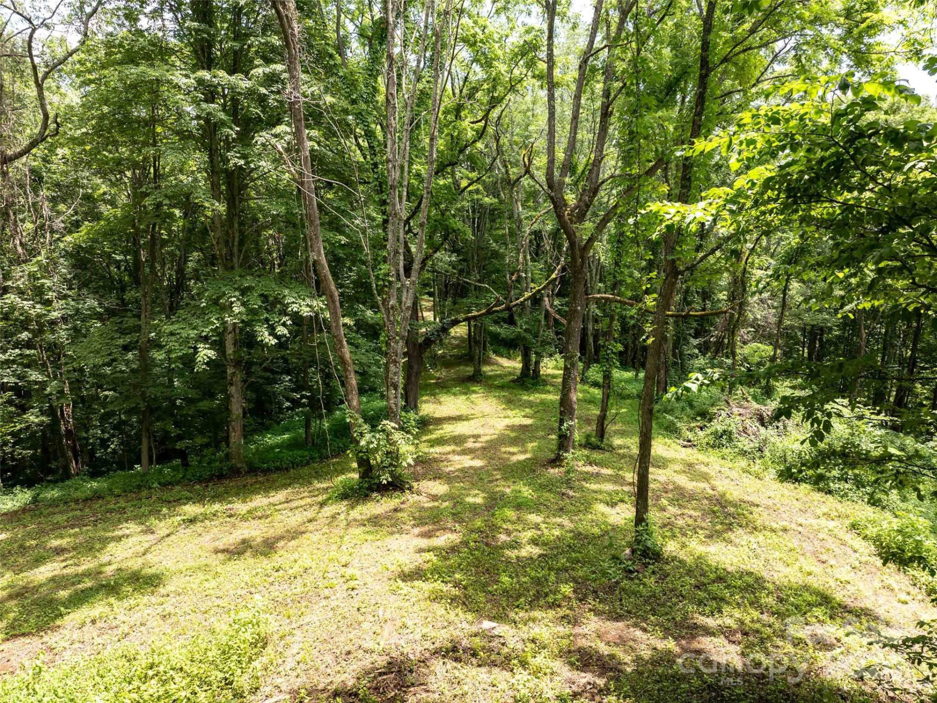 00 Hardy Branch Trail - Photo 24