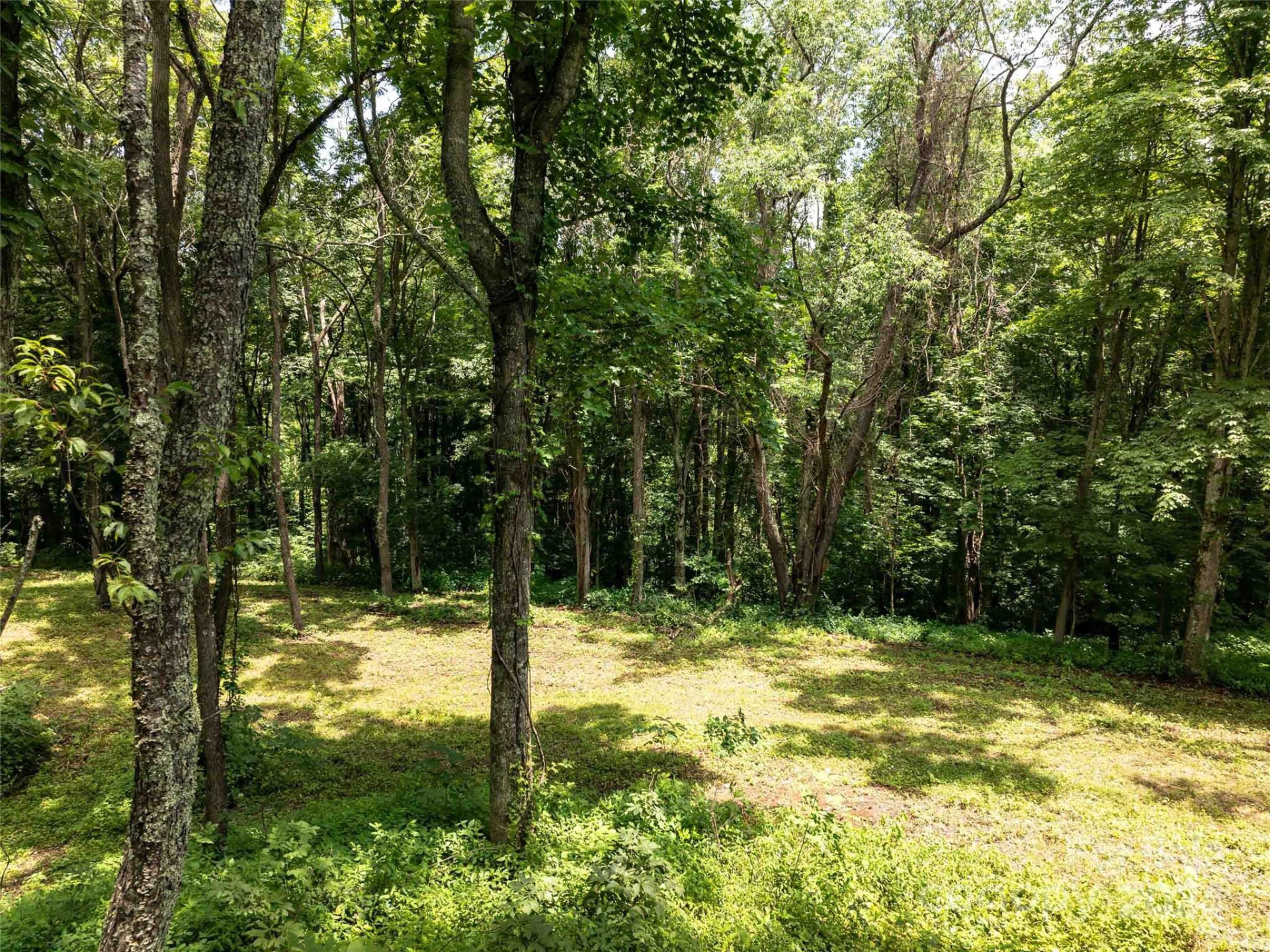 00 Hardy Branch Trail - Photo 25