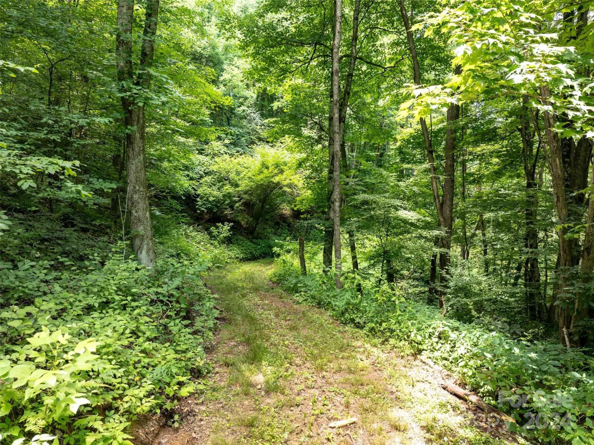 00 Hardy Branch Trail - Photo 26
