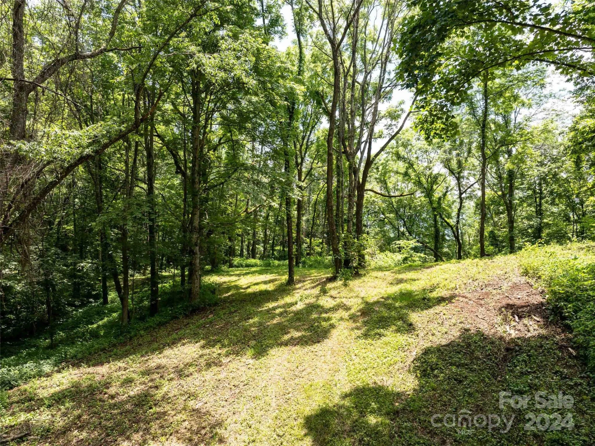 00 Hardy Branch Trail - Photo 4