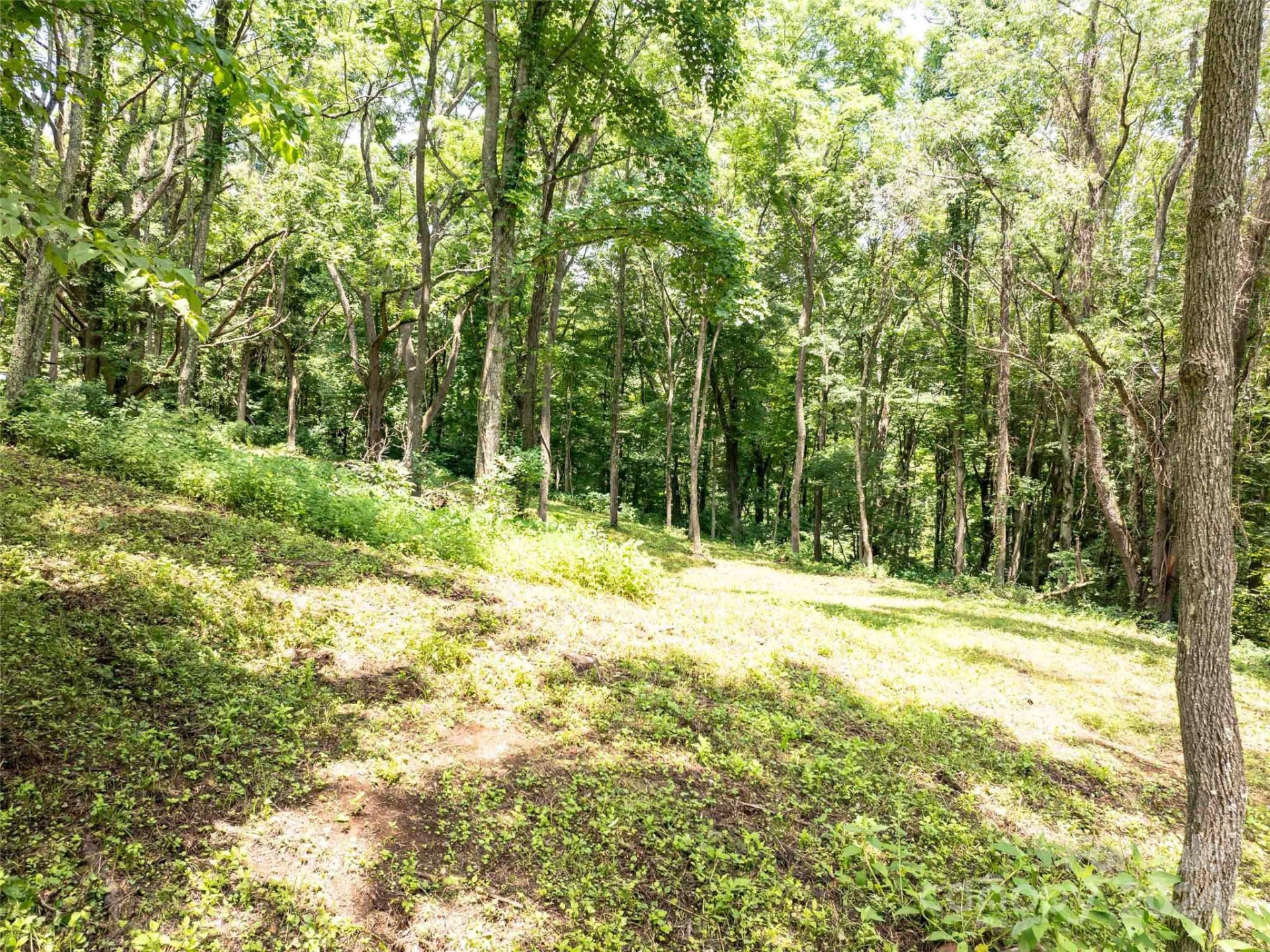 00 Hardy Branch Trail - Photo 6