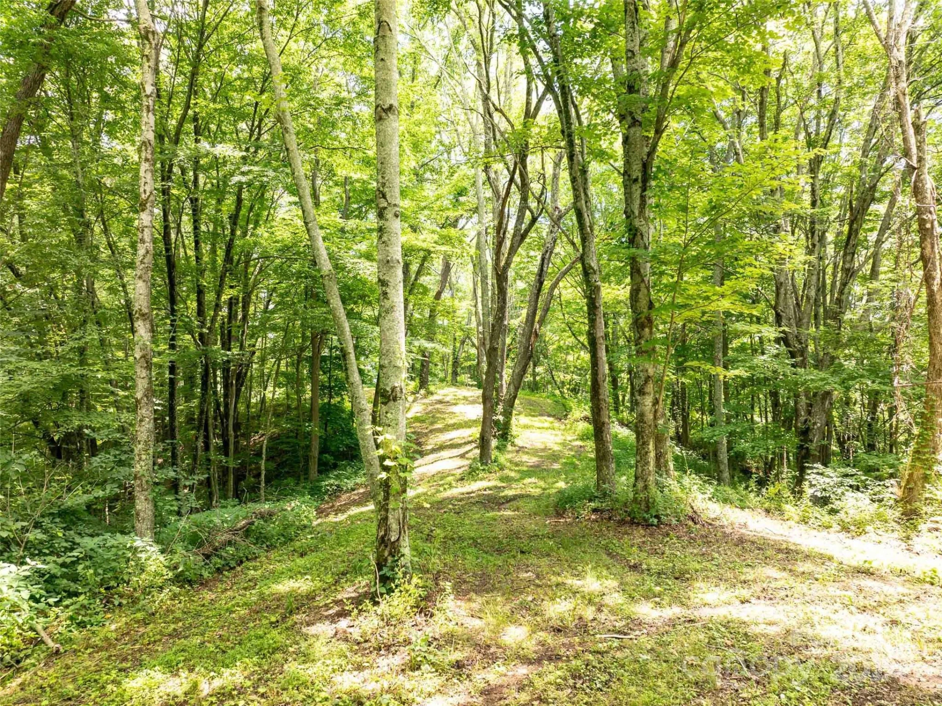 00 Hardy Branch Trail - Photo 8