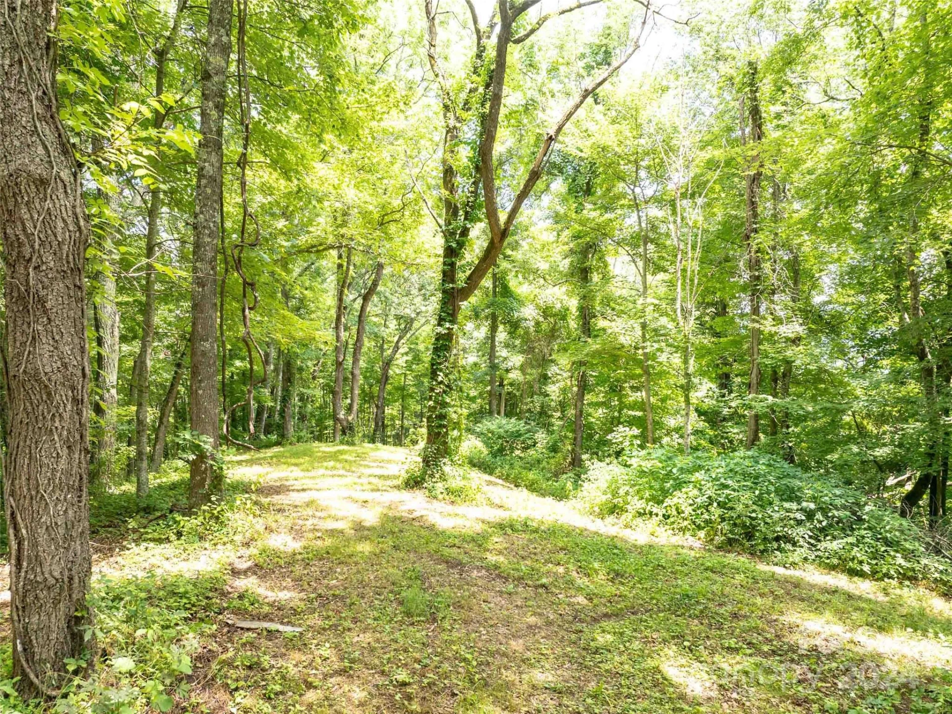 00 Hardy Branch Trail - Photo 9