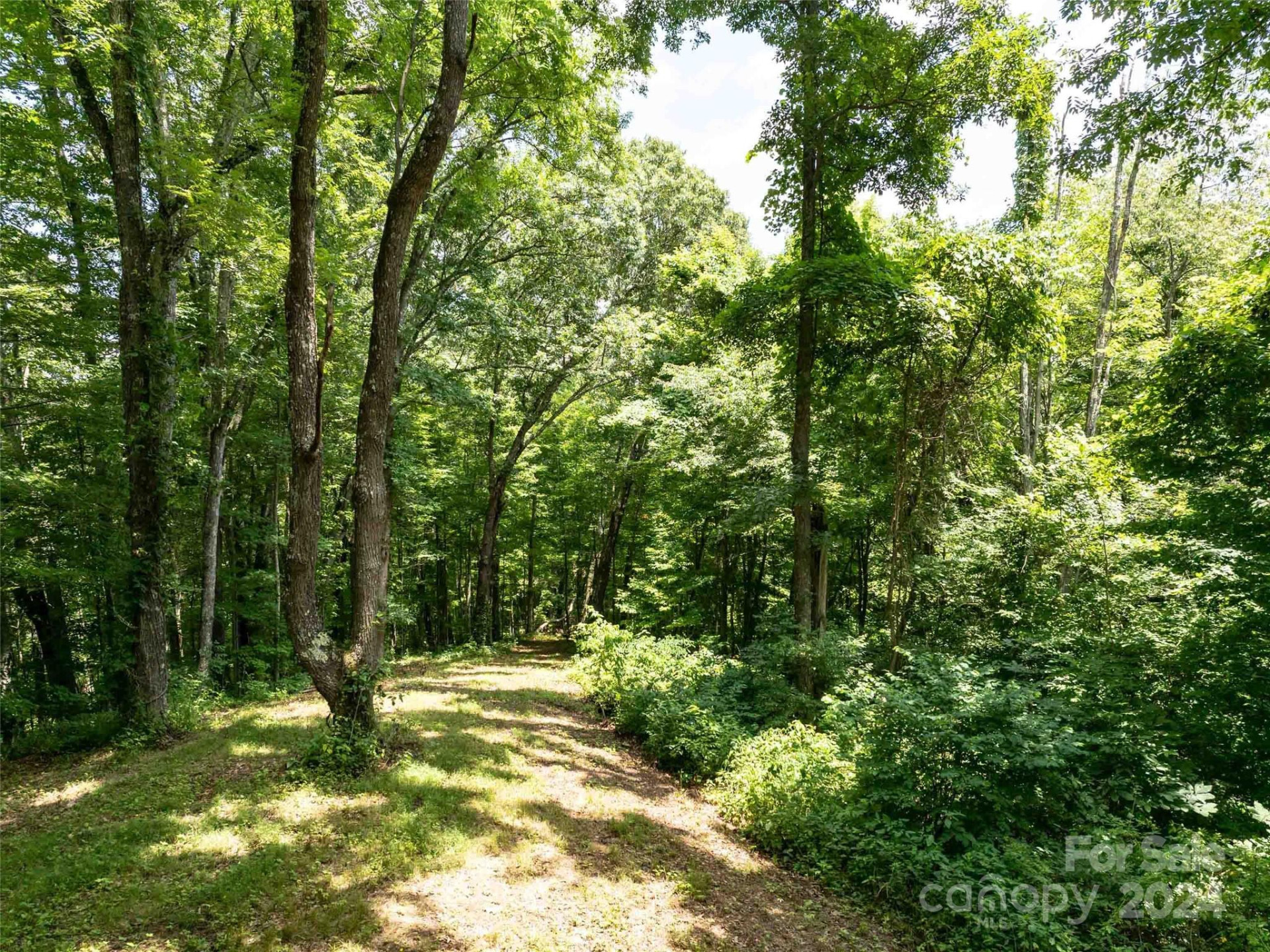 00 Hardy Branch Trail - Photo 10