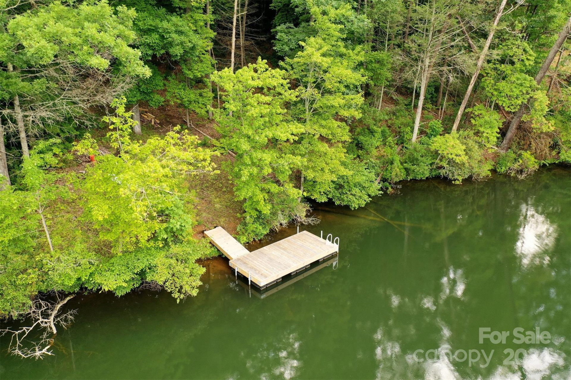 1733 Buffalo Creek Road - Photo 2