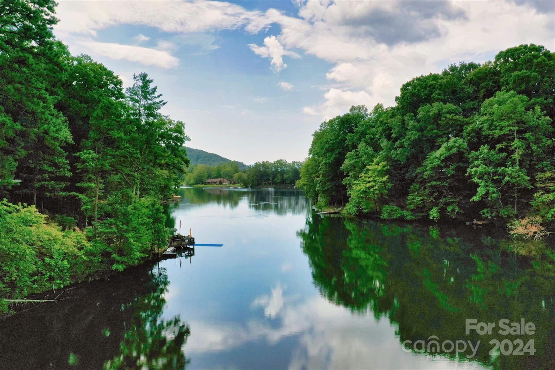 1733 Buffalo Creek Road - Photo 14