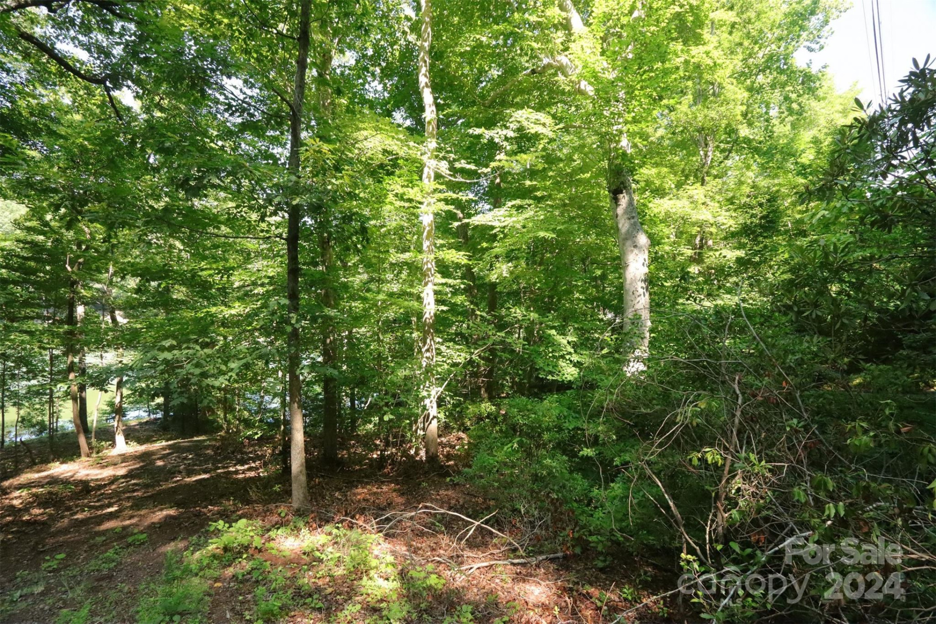 1733 Buffalo Creek Road - Photo 4
